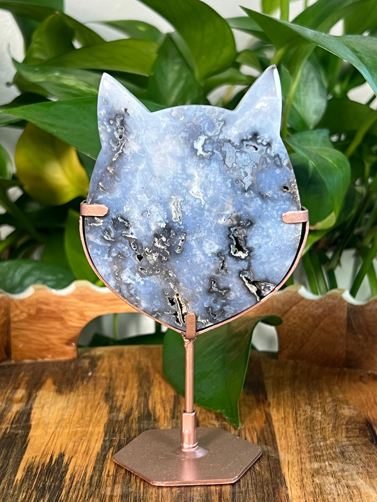 Blue Plume Agate Cat Heads
