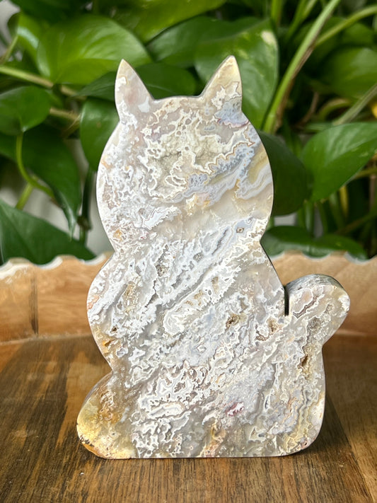 Sumatra Plume Agate Cat