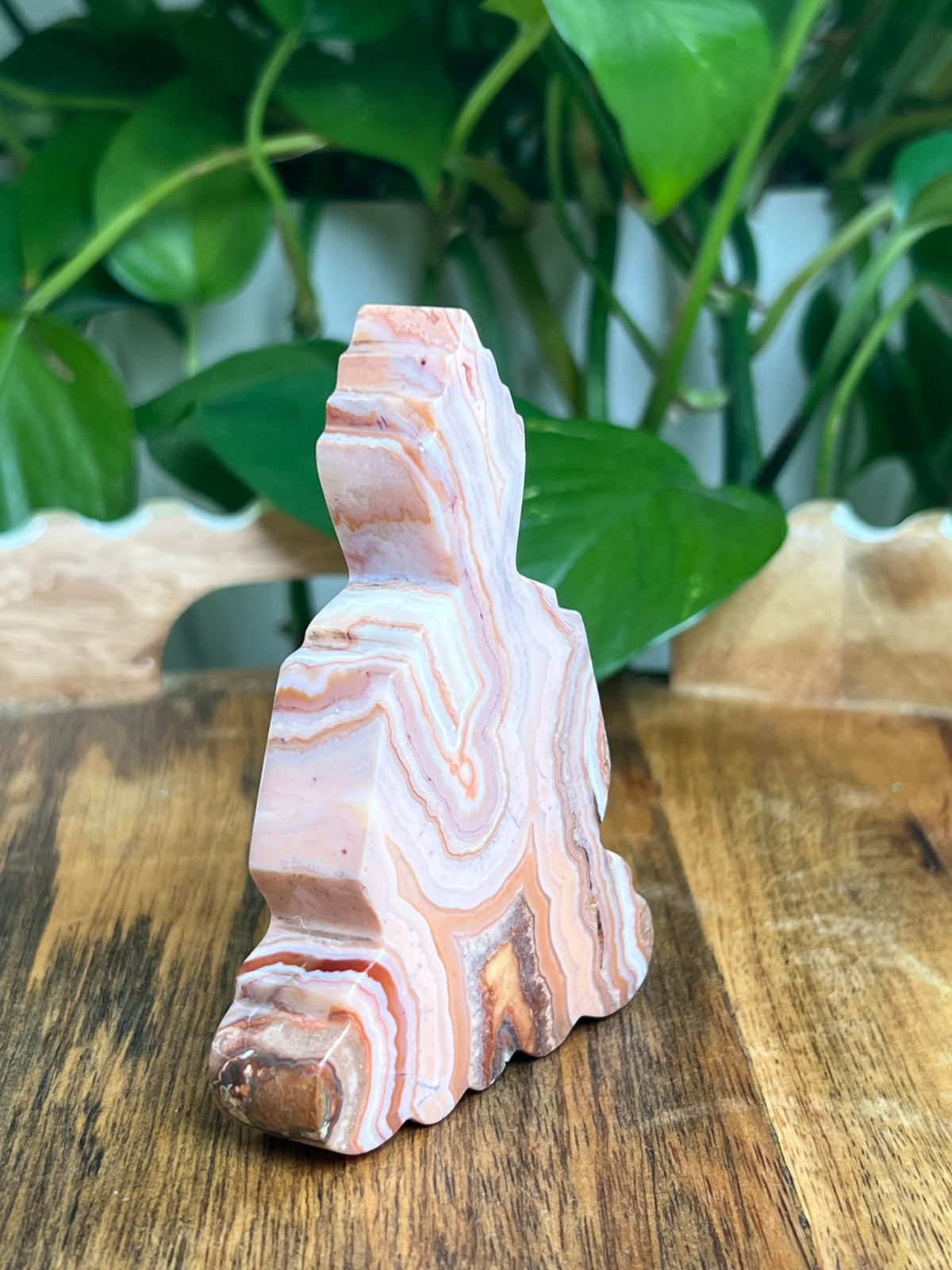 Crazy Lace Agate Buddha: D