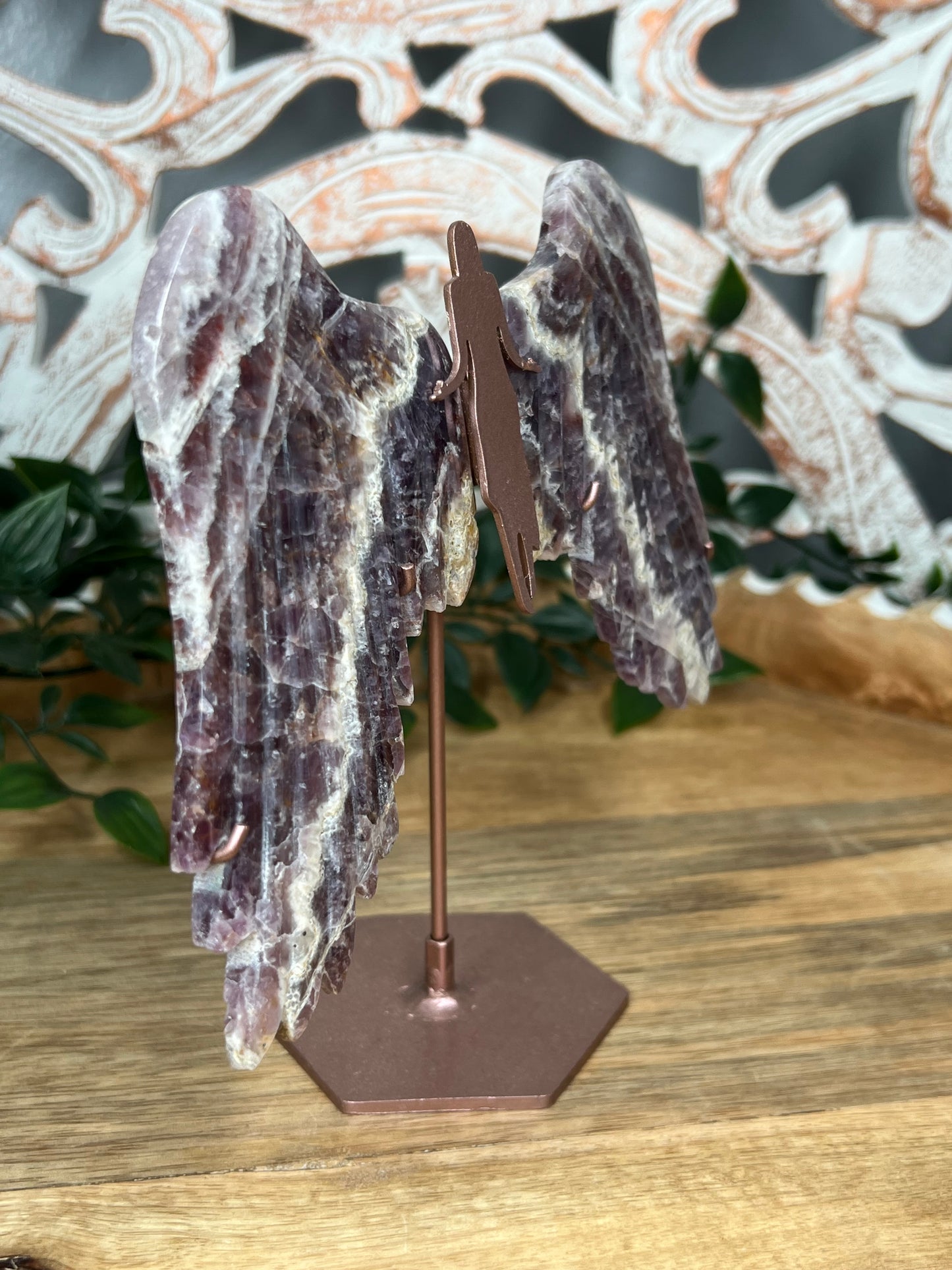 Indonesian Amethyst Wings