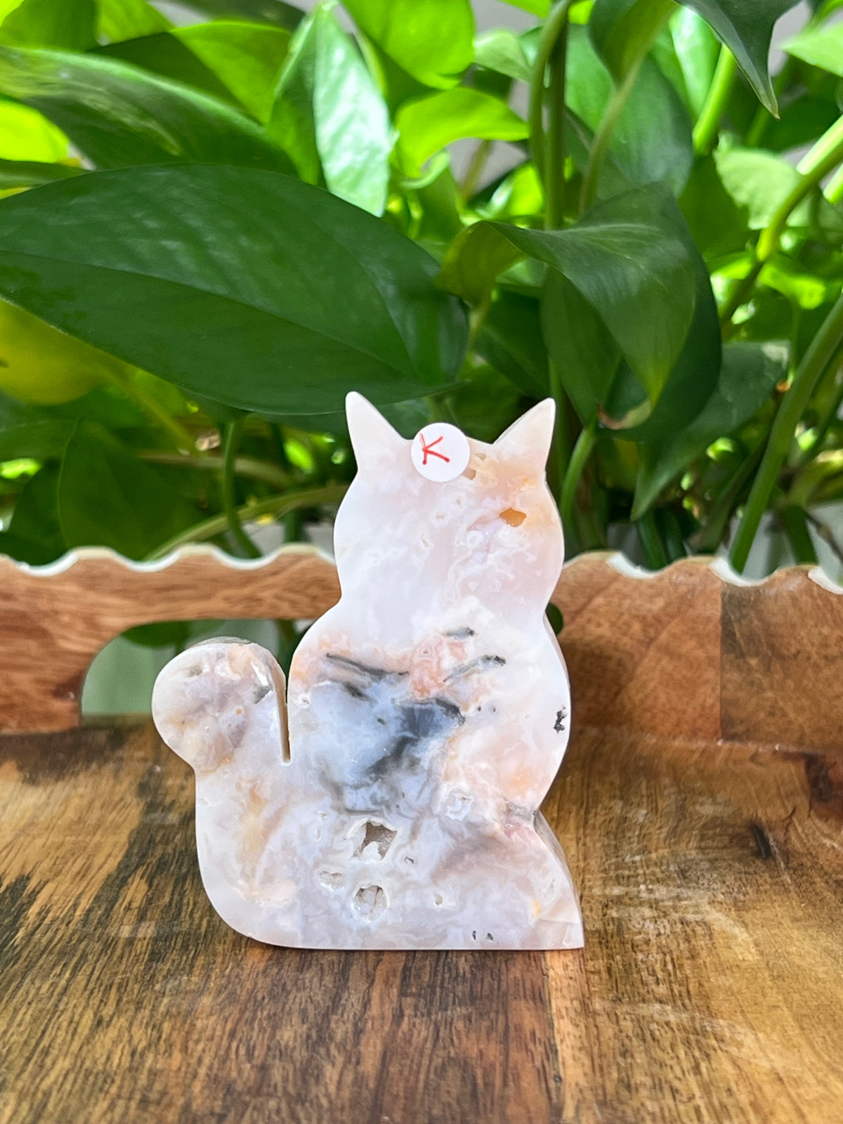 Rainbow Plume Agate Cats