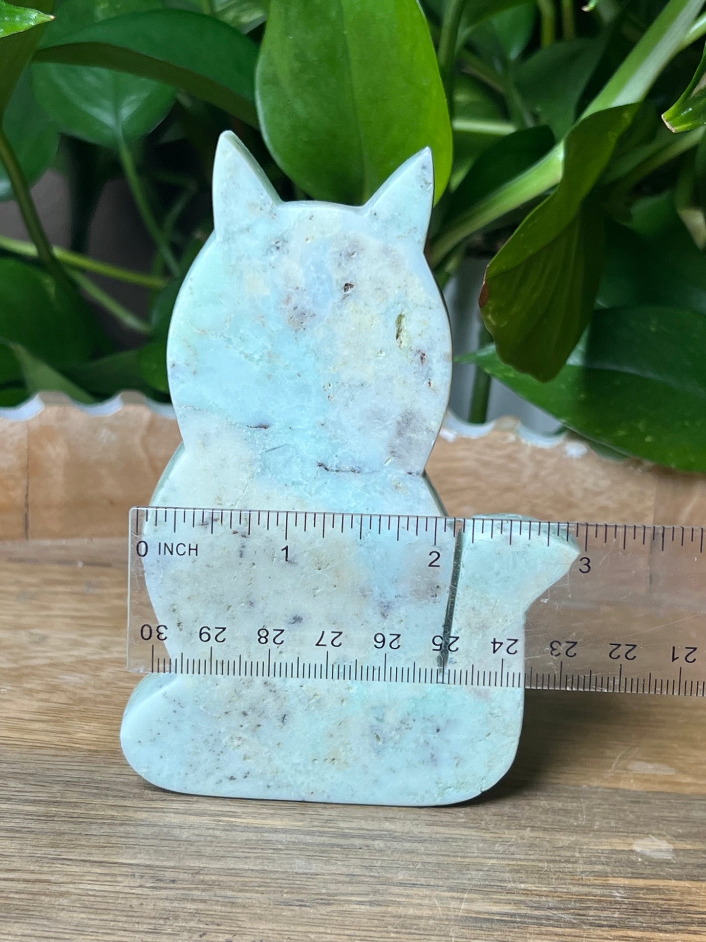 Chrysoprase Cat