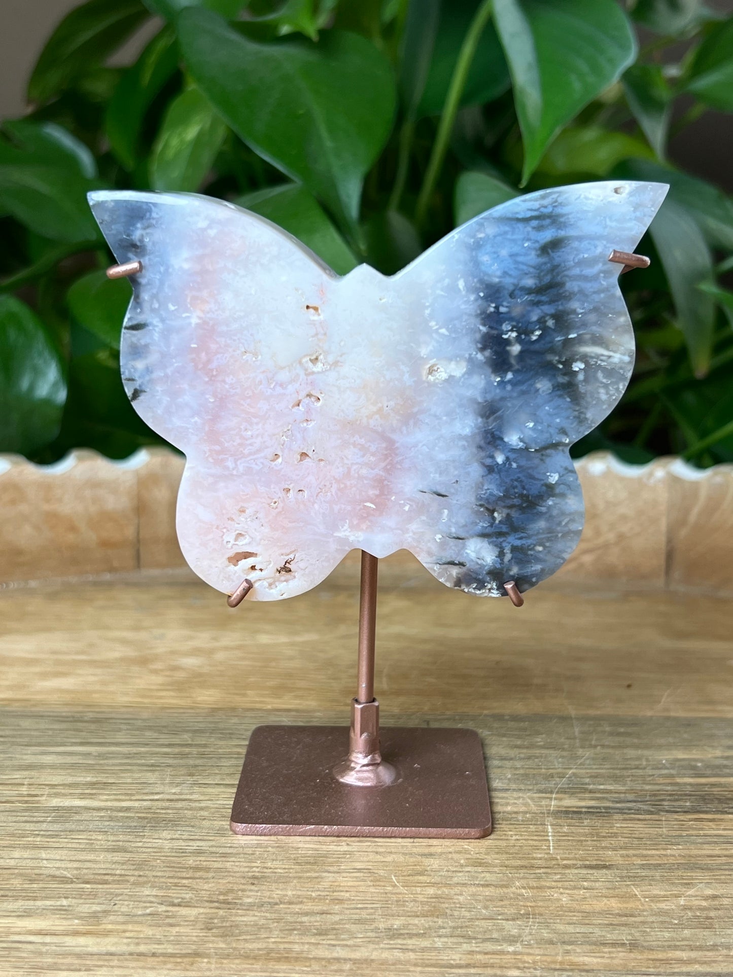 Rainbow Plume Agate Butterfly
