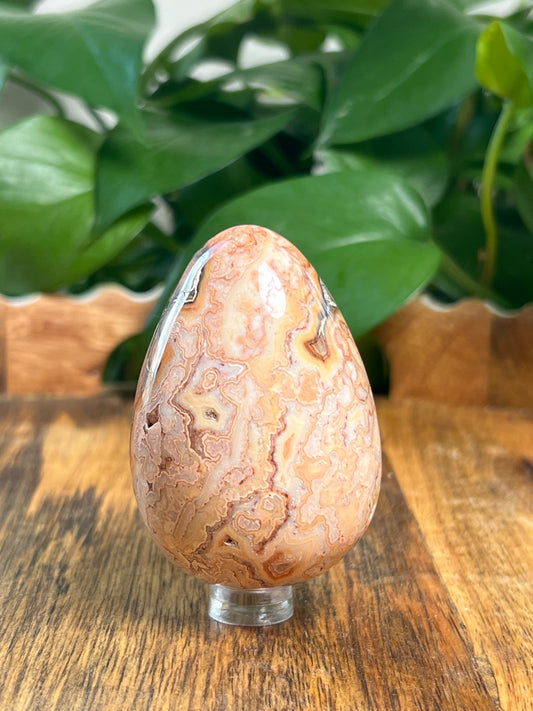 Crazy Lace Agate Egg: EK