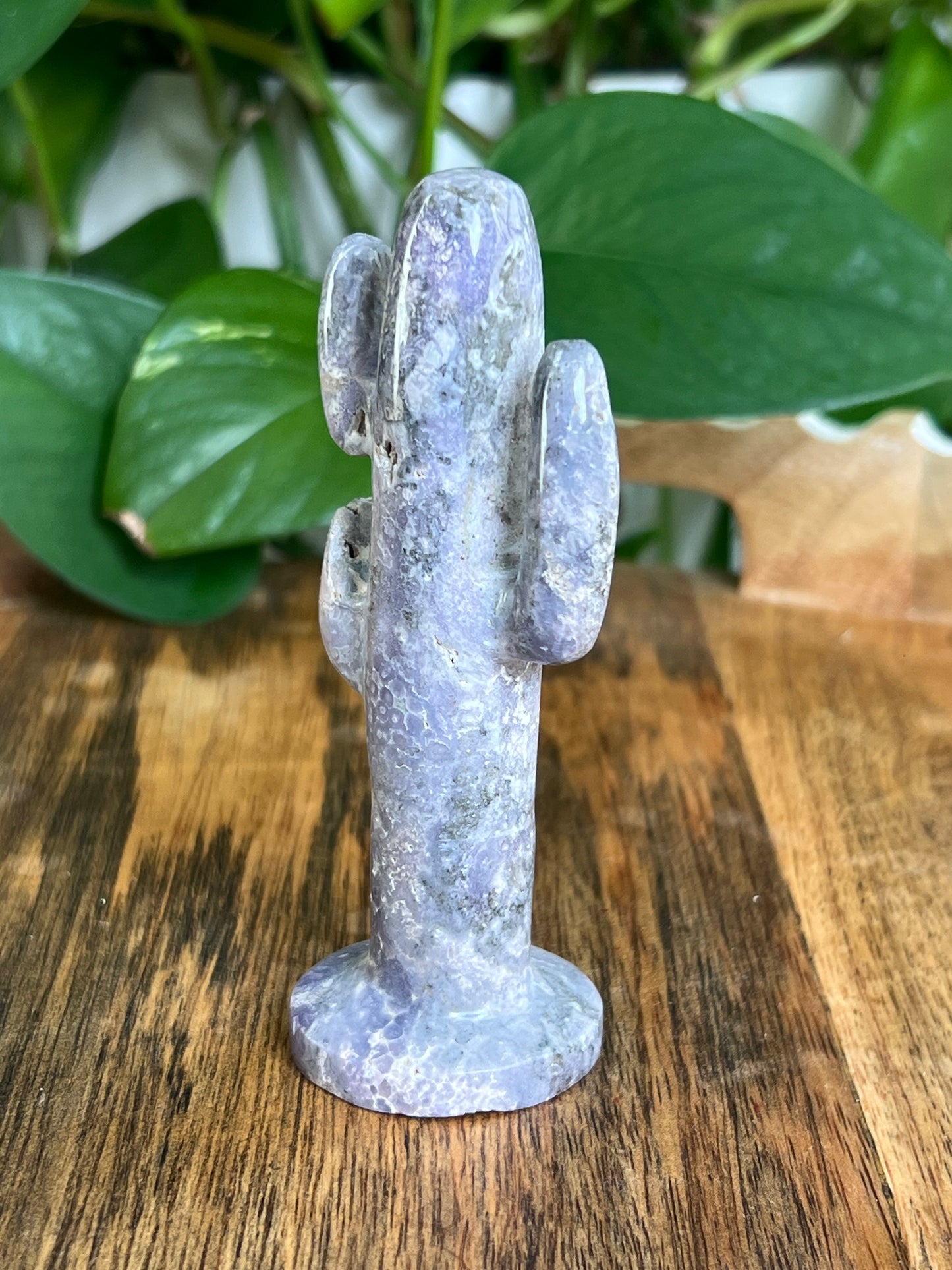 Grape Agate Cactus: AS