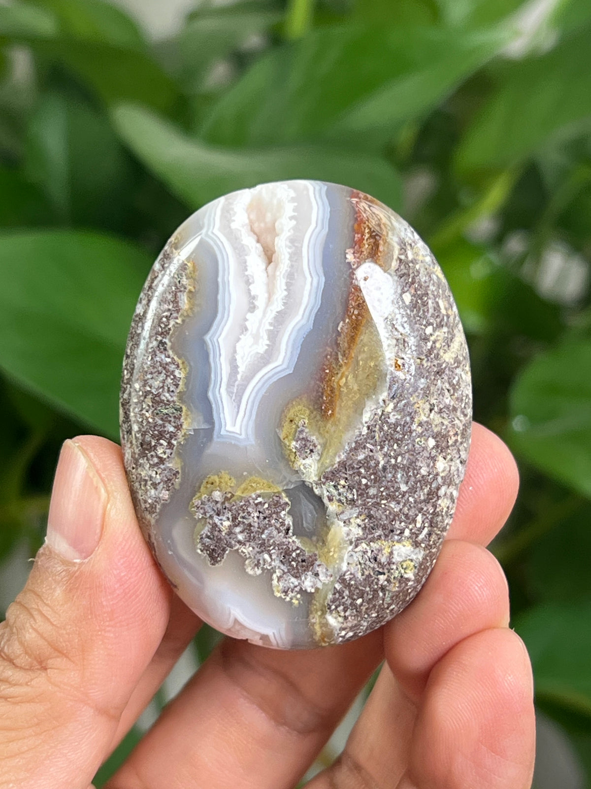 Scenic Moss Agate Palmstone: BF