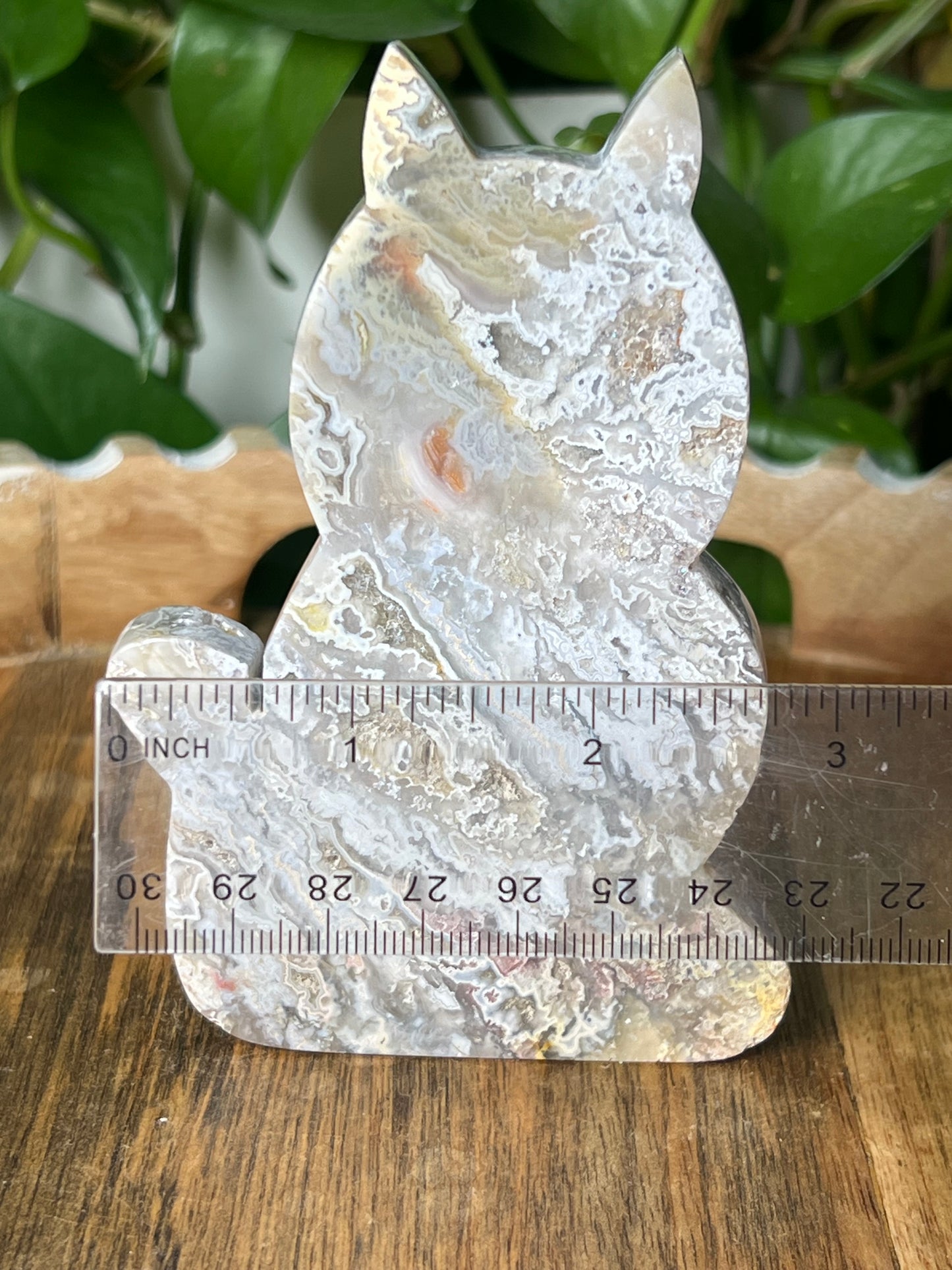 Sumatra Plume Agate Cat