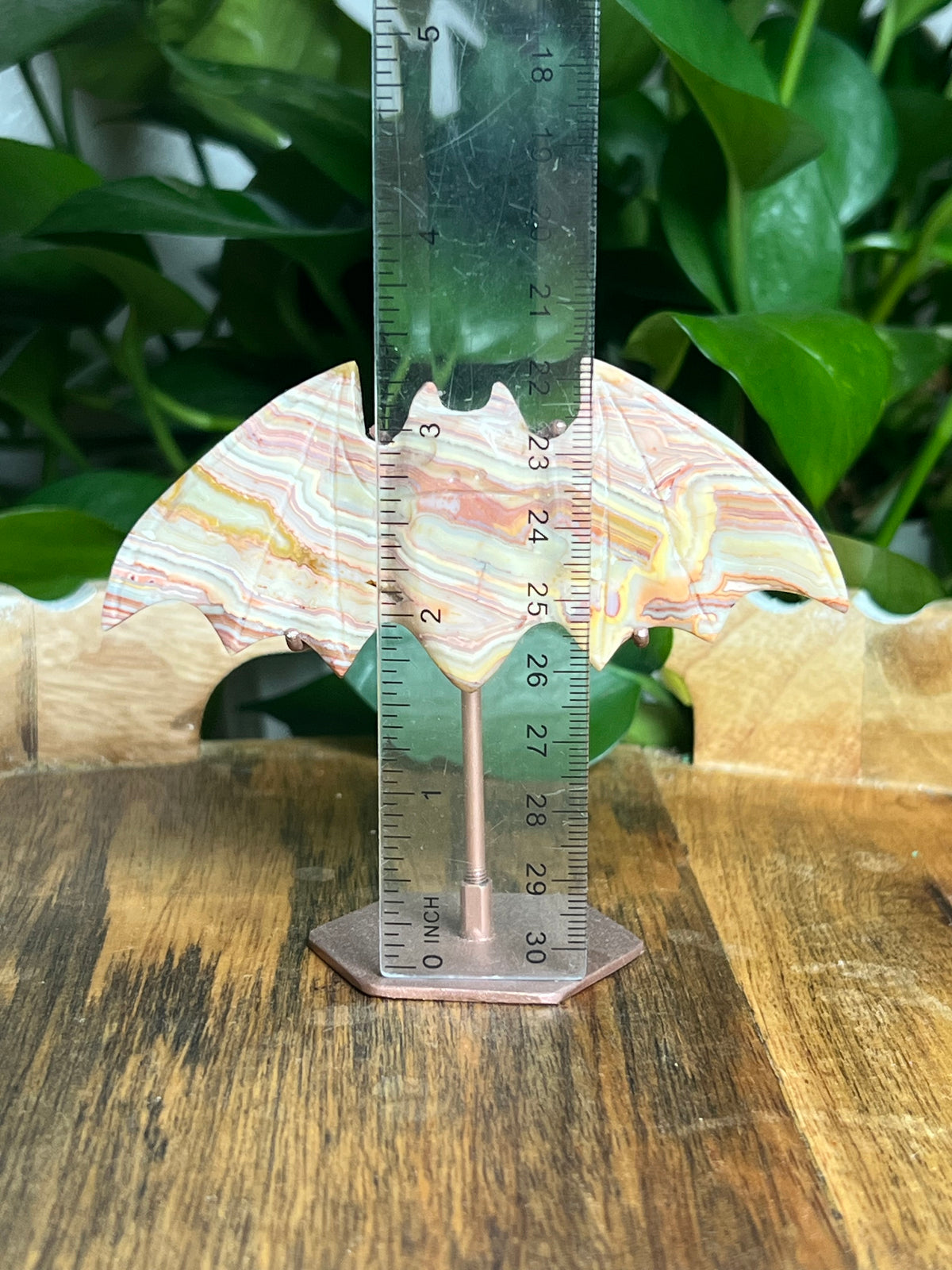 Crazy Lace Agate Bat: D