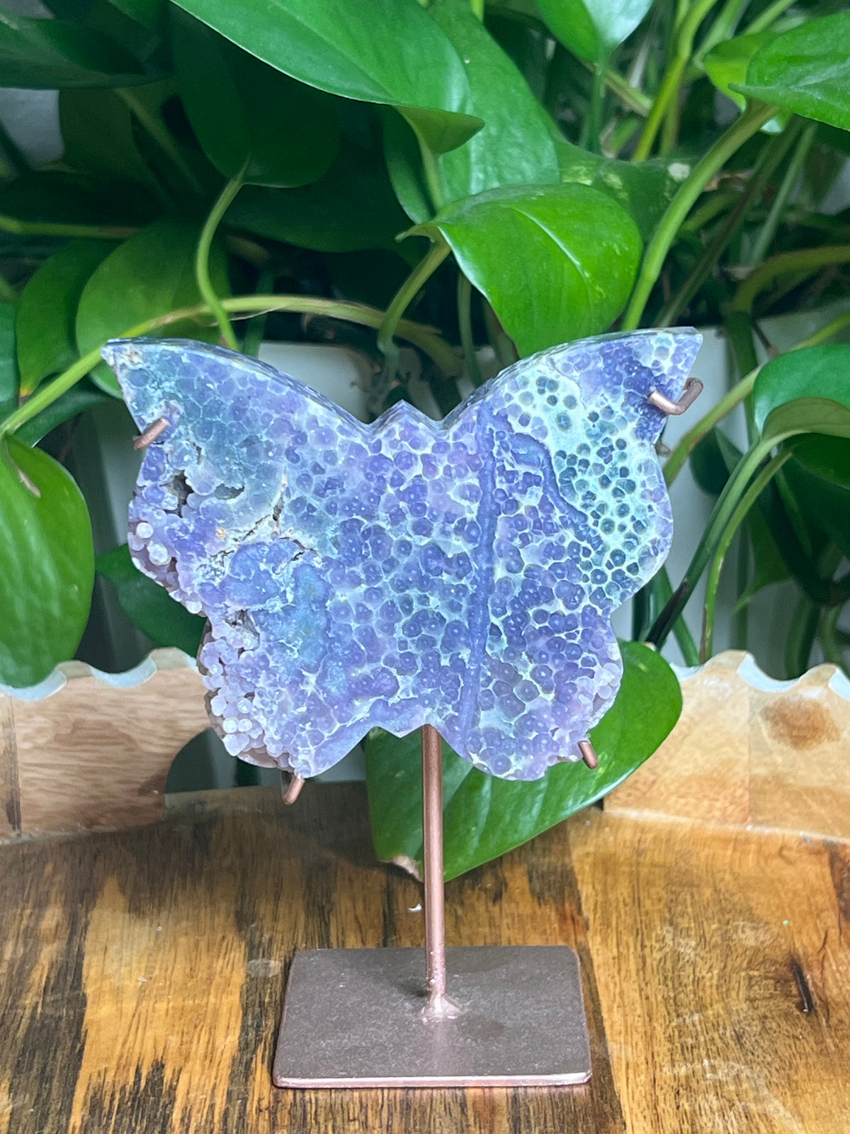 Grape Agate Butterfly: AX