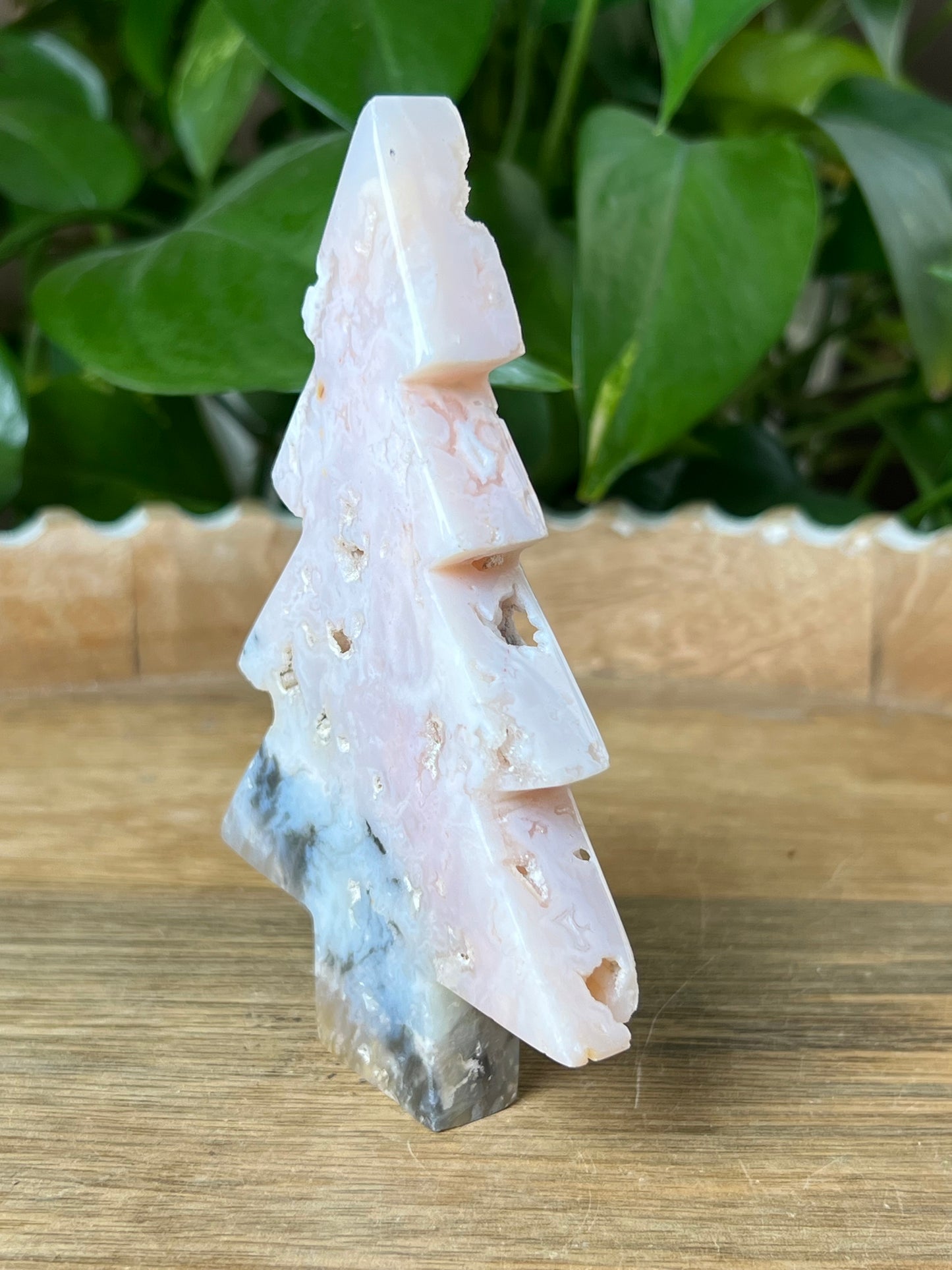 Rainbow Plume Agate Tree