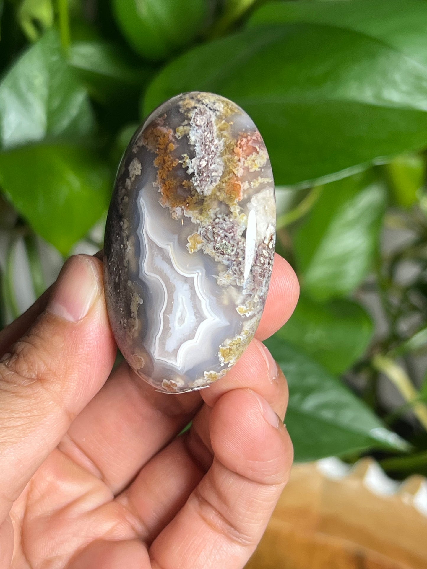 Scenic Moss Agate Palmstone: QC