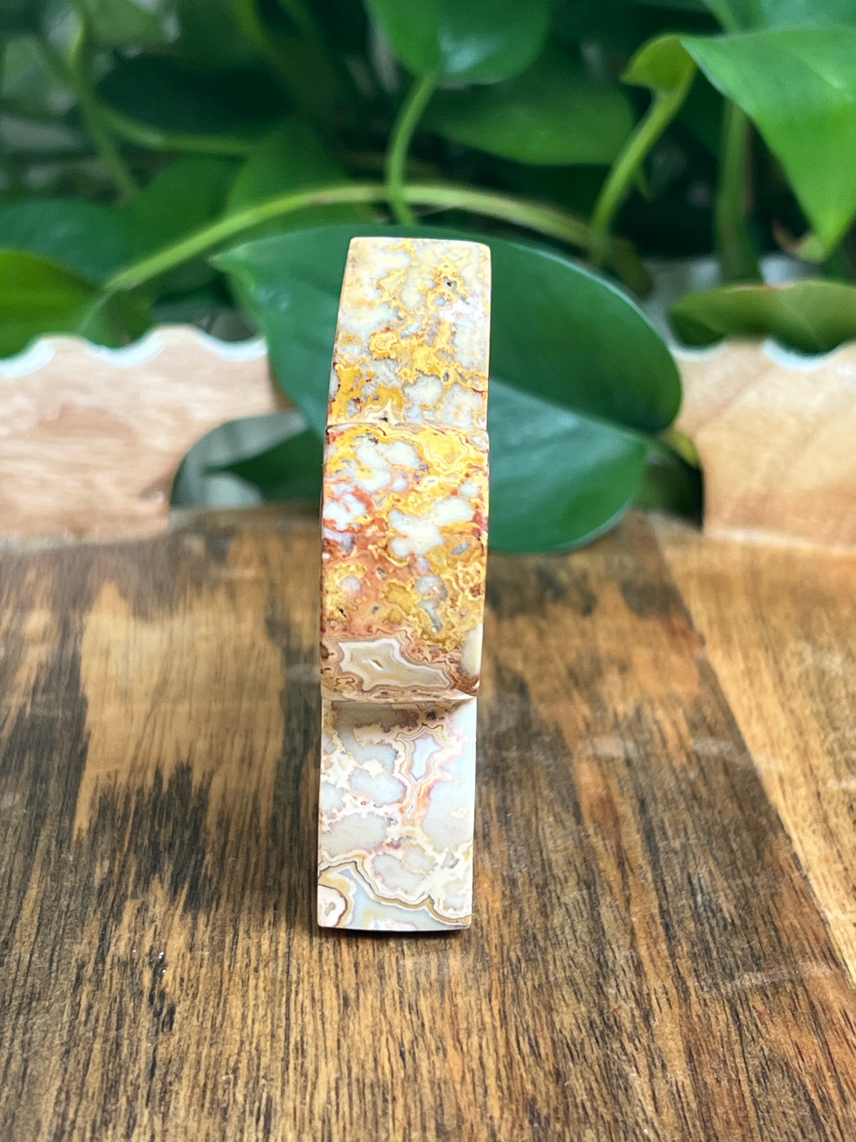 Crazy Lace Agate Flower: Ci