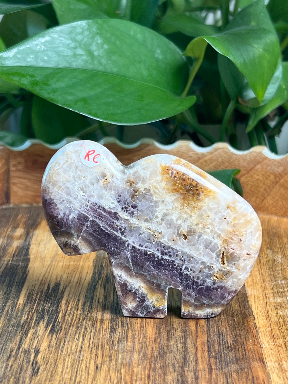 Indonesian Amethyst Buffalos