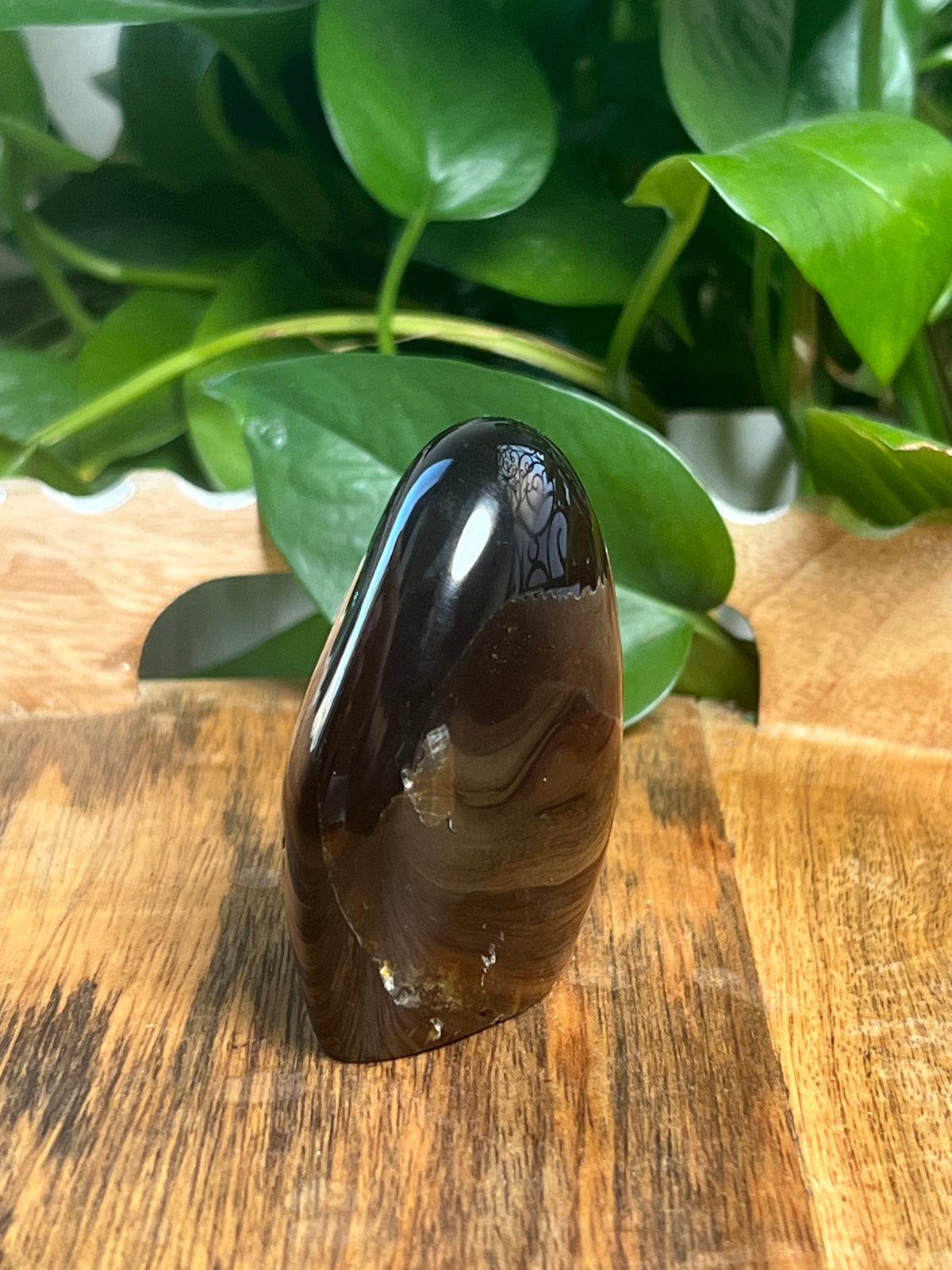 Blue Amber Freeform: Y