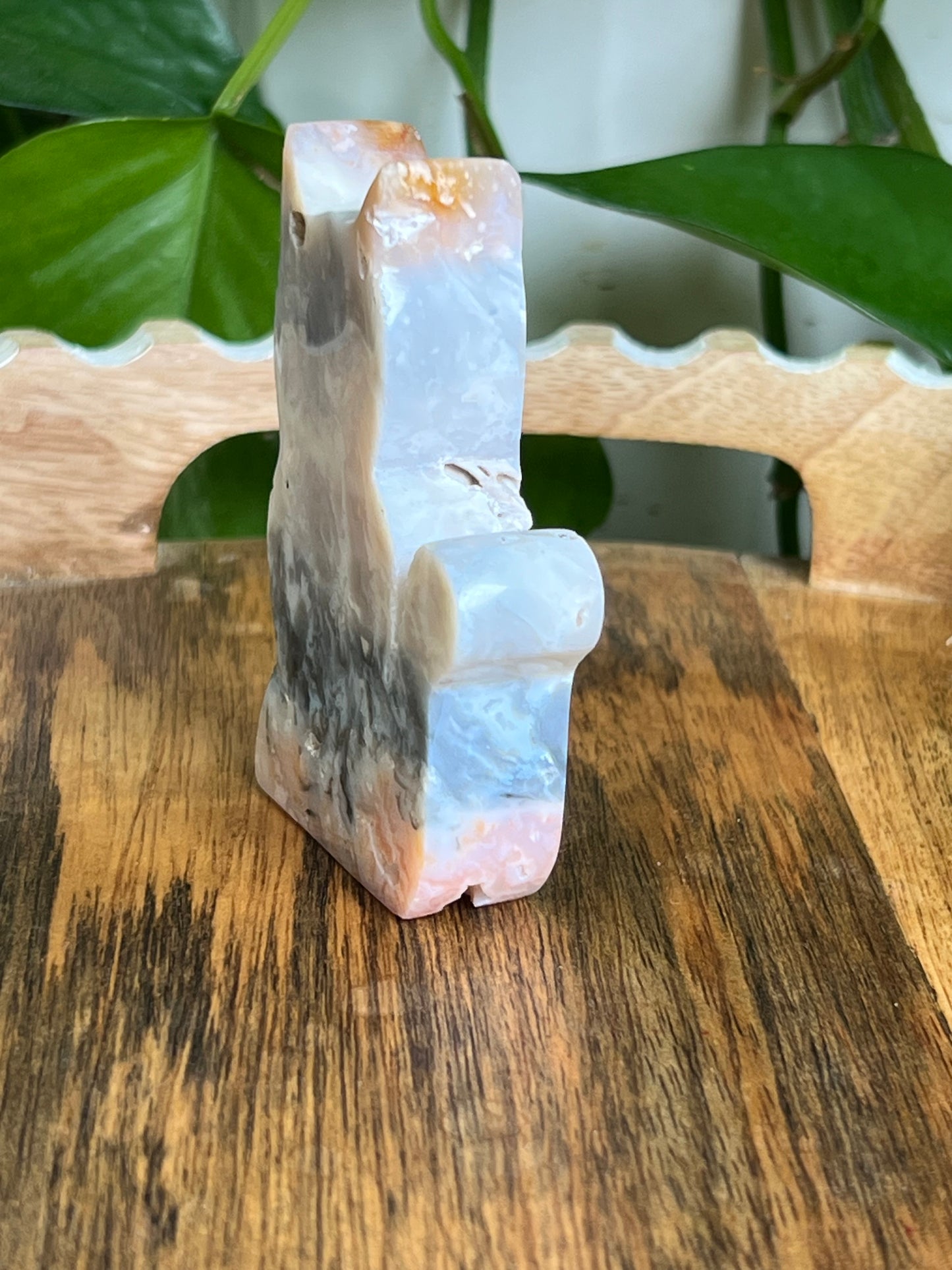 Rainbow Plume Agate Cat NG