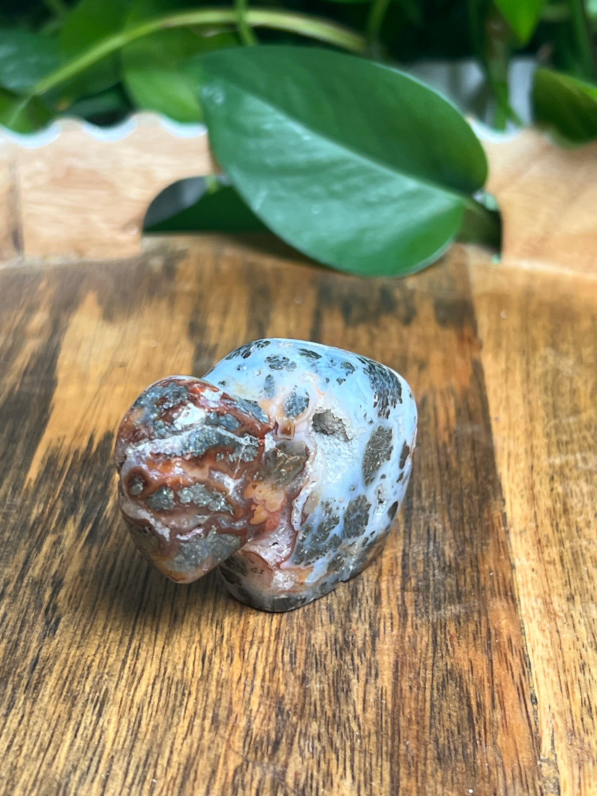 Marcasite Mini Buffalo: Mi