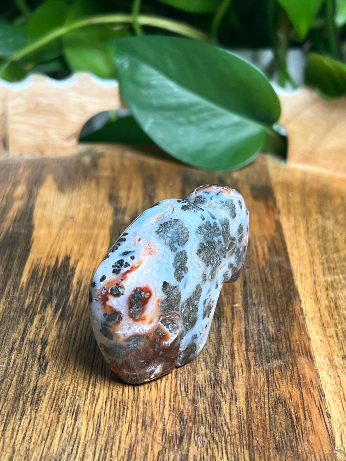 Marcasite Mini Buffalo: Mi