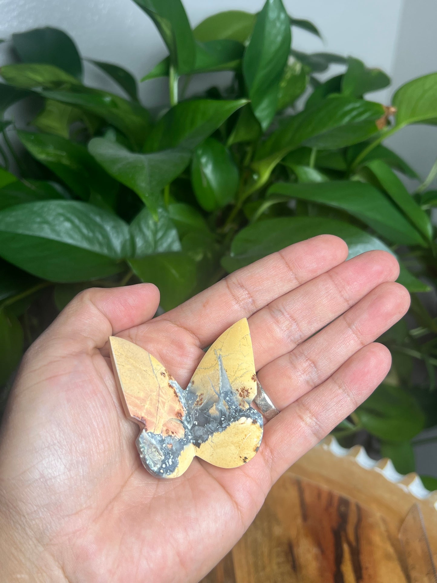 Maligano 3D Butterfly: AN