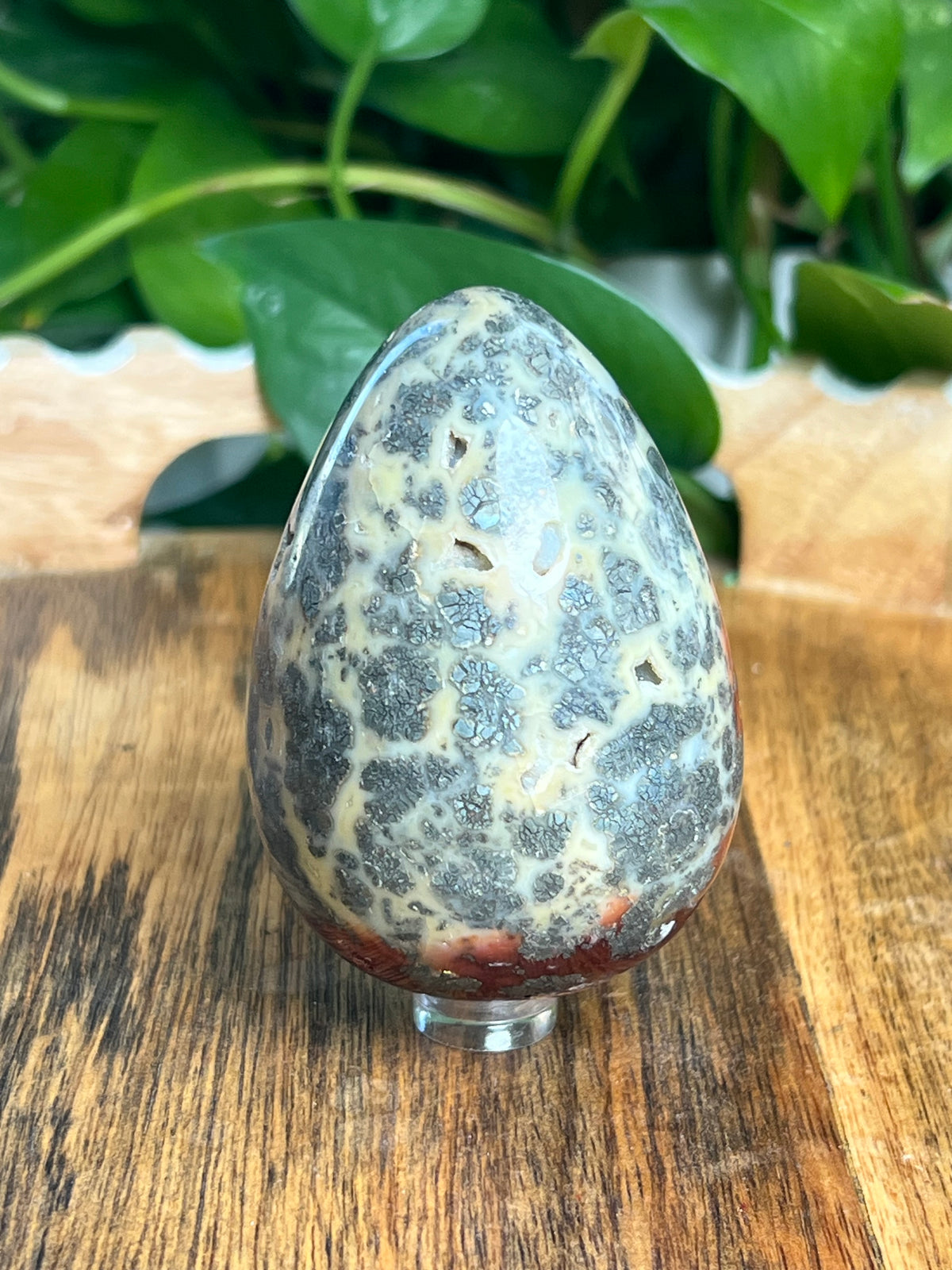 Marcasite Egg: LE