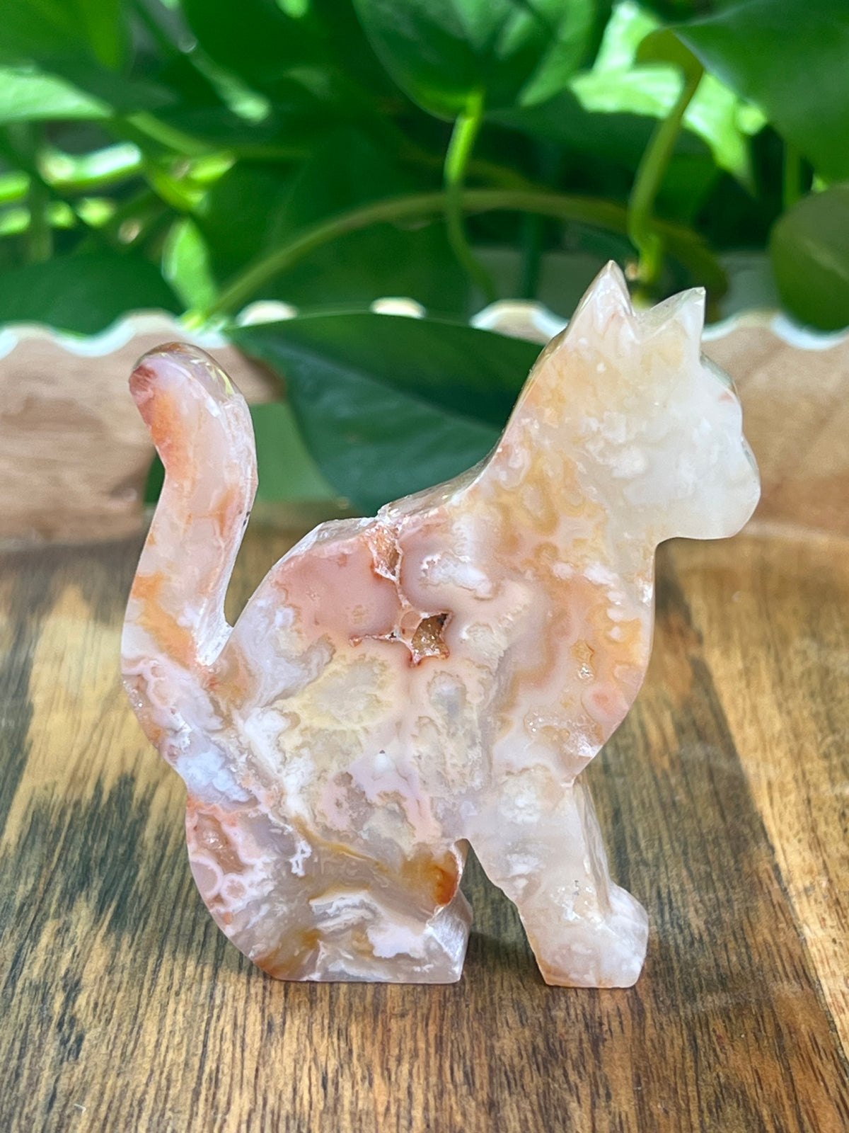 Carnelian Cat: PG