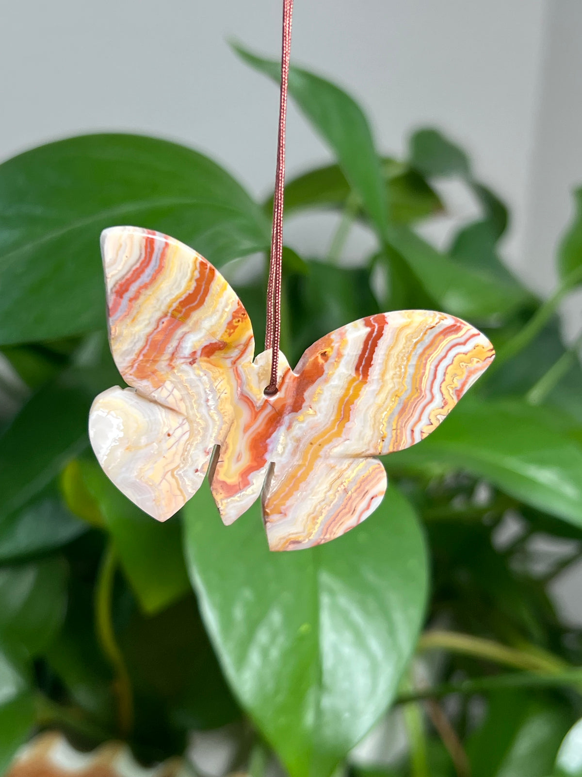 Crazy Lace Agate Ornament Butterfly:  BA