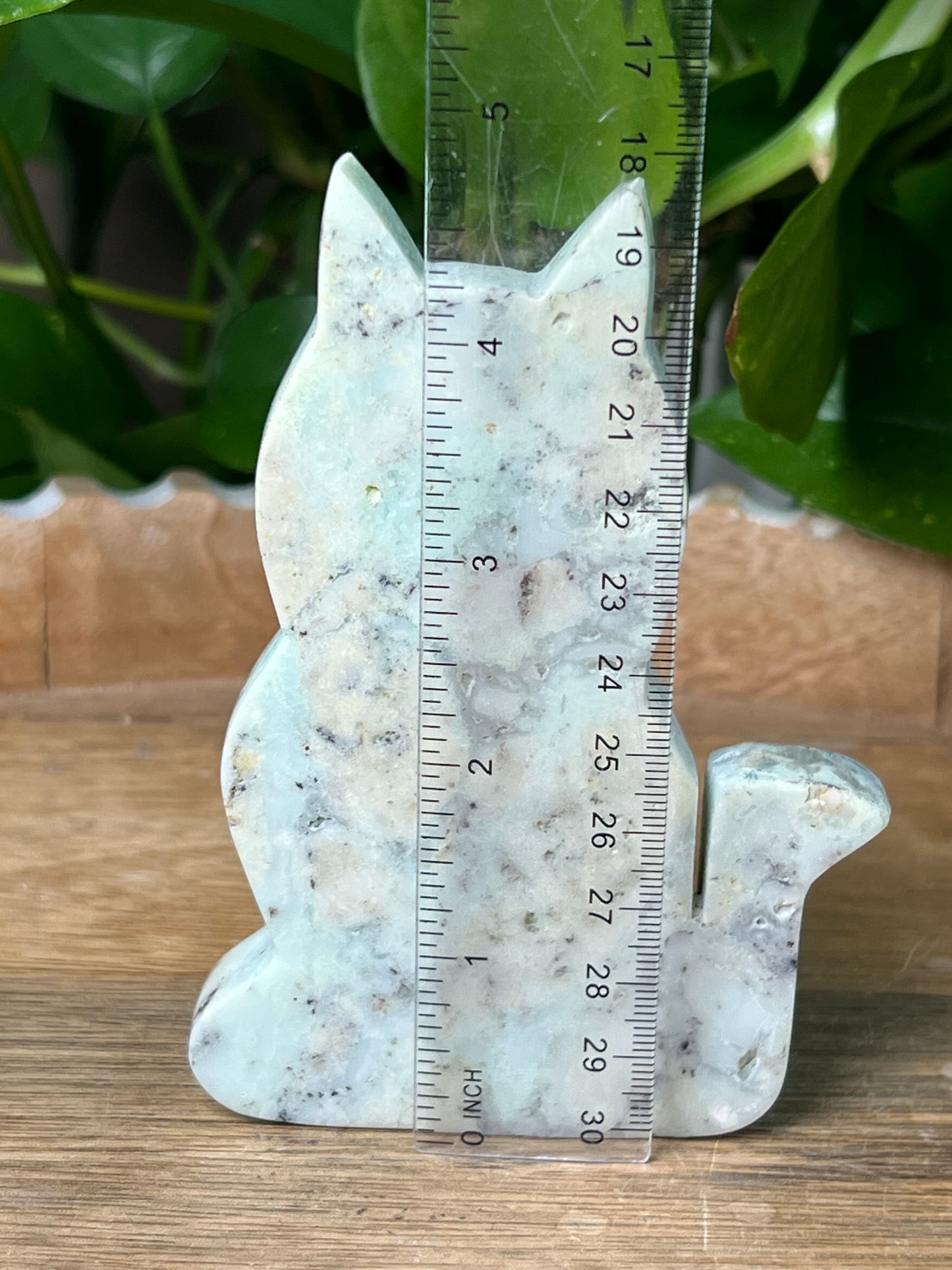 Chrysoprase Cat