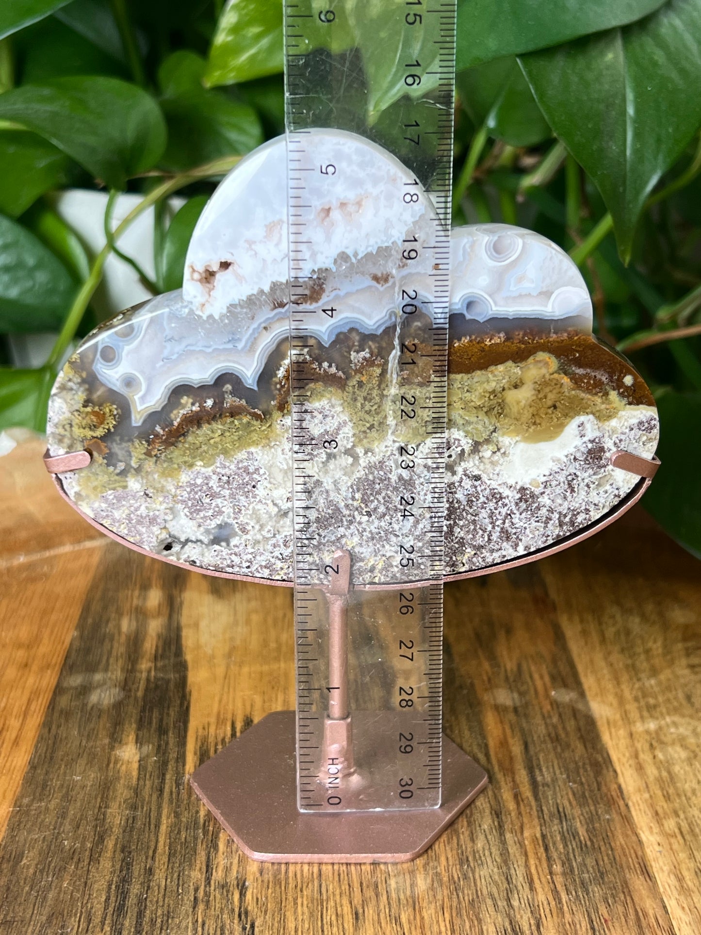 Scenic Moss Agate Cloud