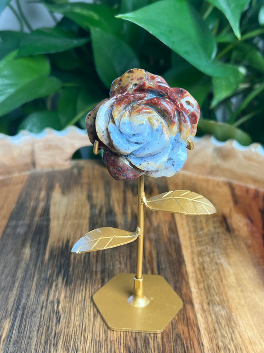 Marcasite Rose: X