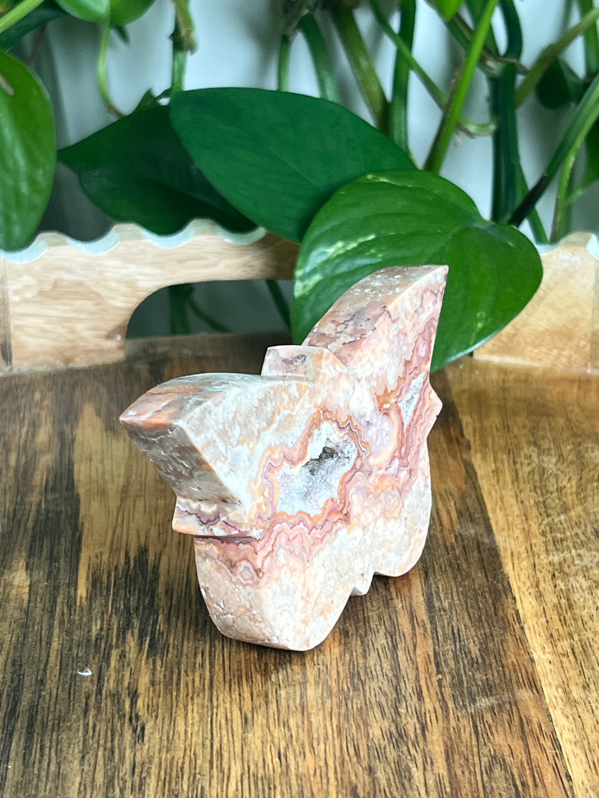Crazy Lace Agate Butterfly: A