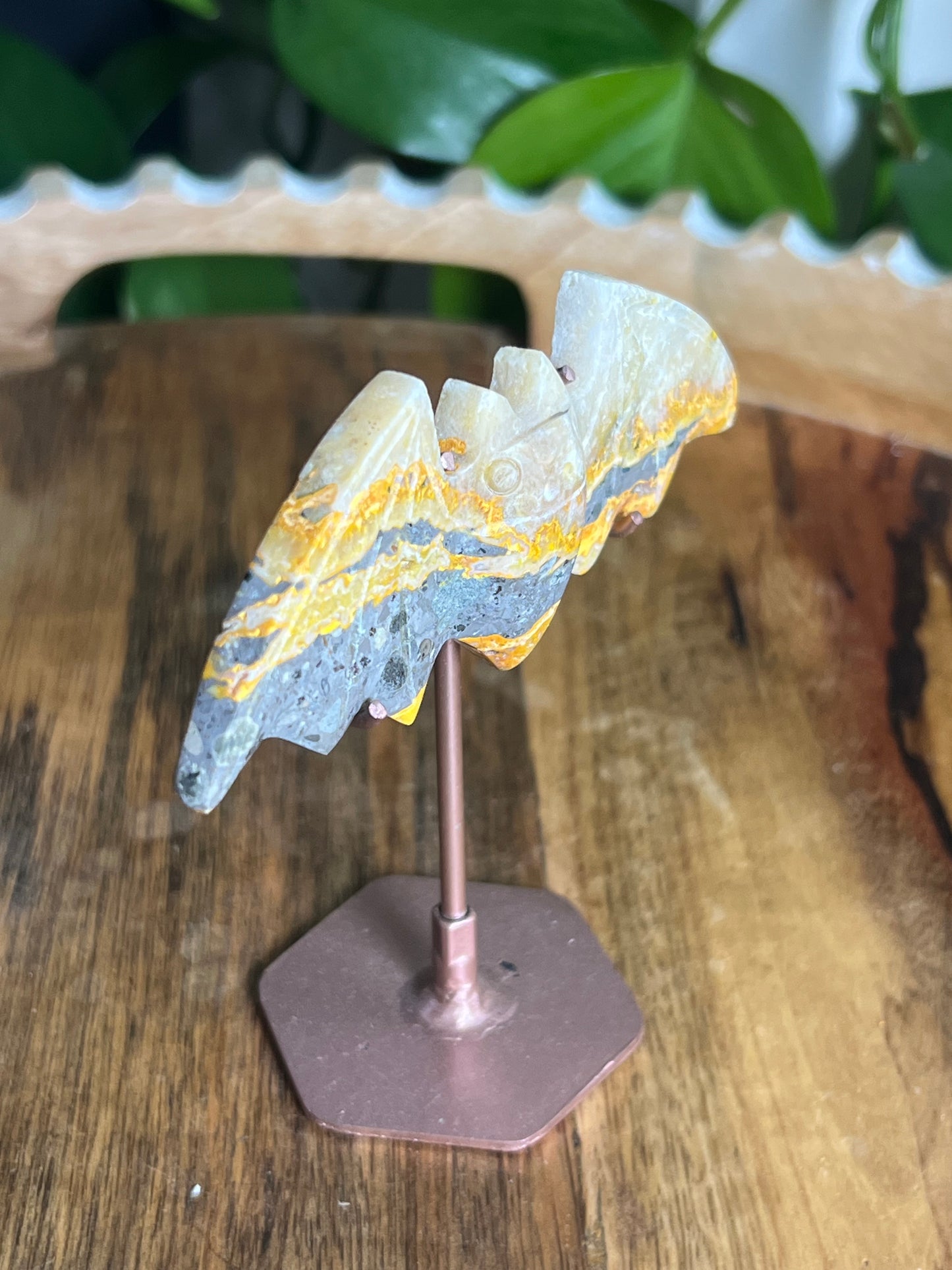Bumblebee Jasper Bat