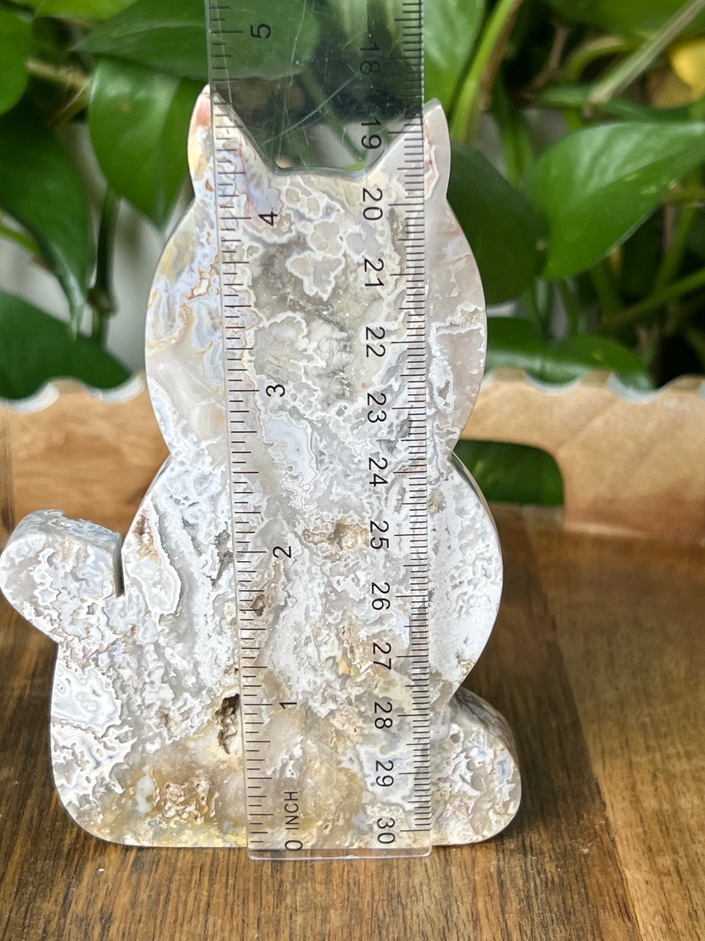 Sumatra Plume Agate Cat