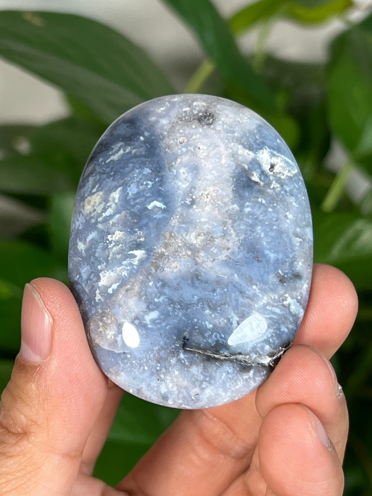 Blue Plume Agate Palmstones