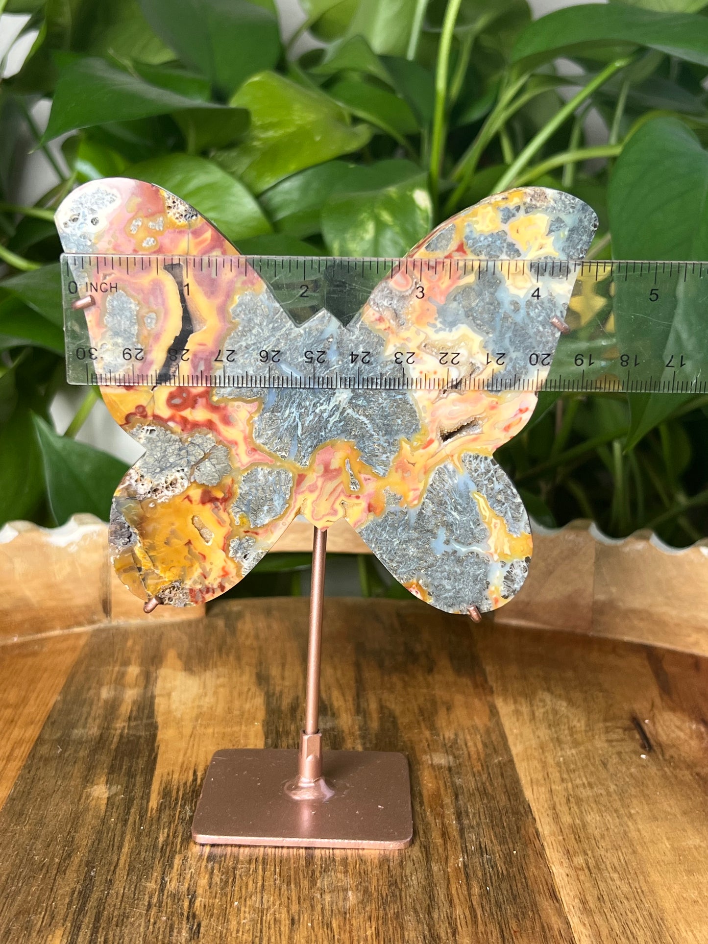 Marcasite Butterfly