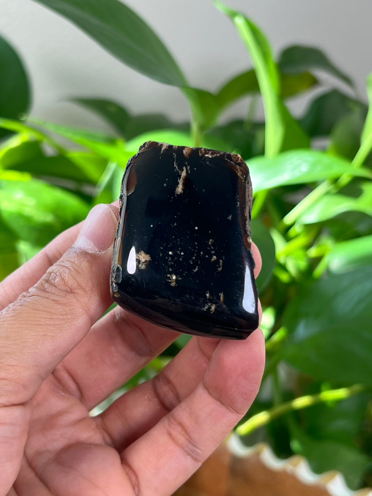 Blue Amber Freeform
