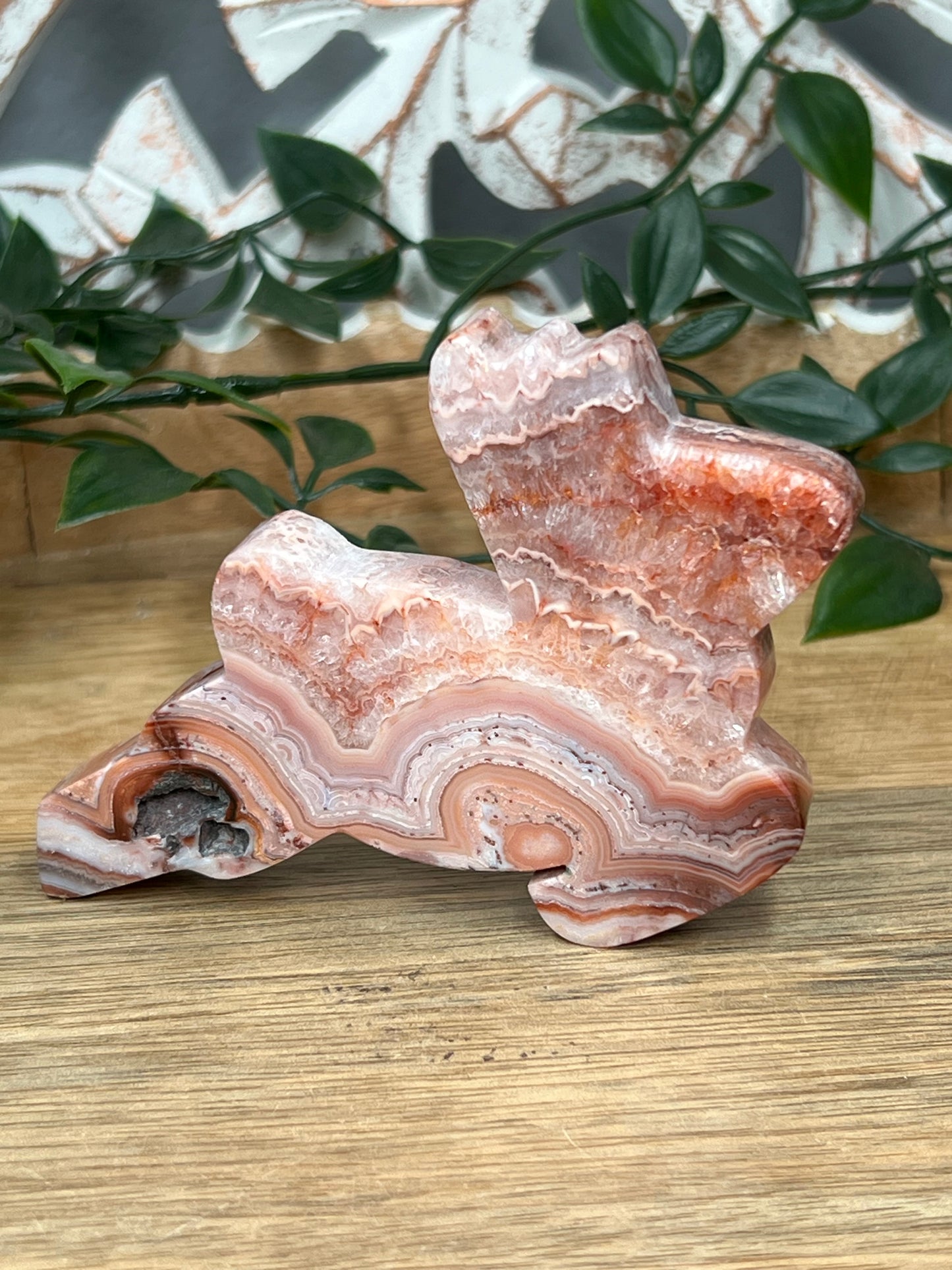 Pink Crazy Lace Agate Deer