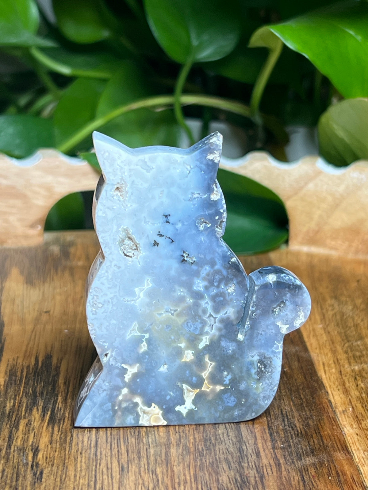 Blue Plume Agate Cat: BD