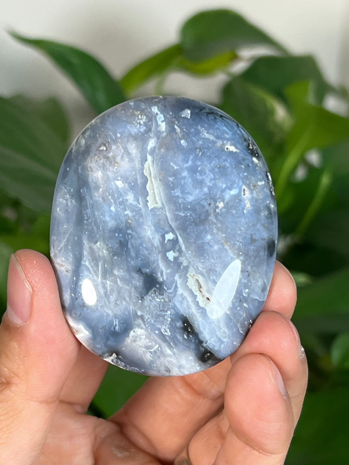 Blue Plume Agate Palmstones