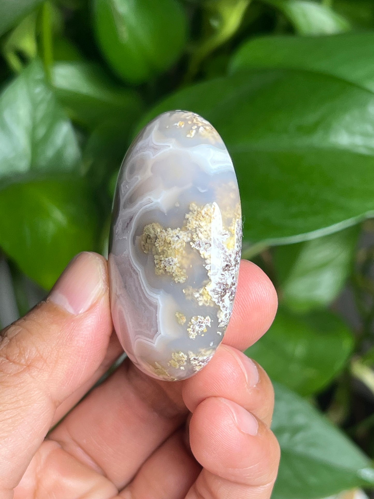 Scenic Moss Agate Palmstone: BZ
