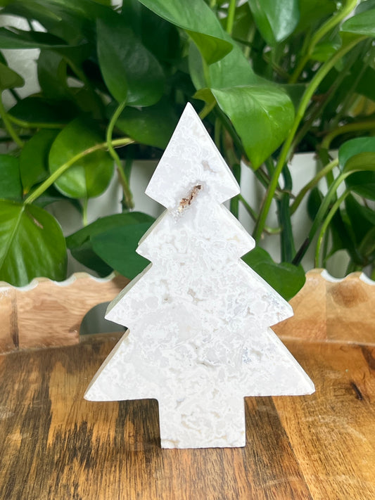 White Plume Agate Tree: CC