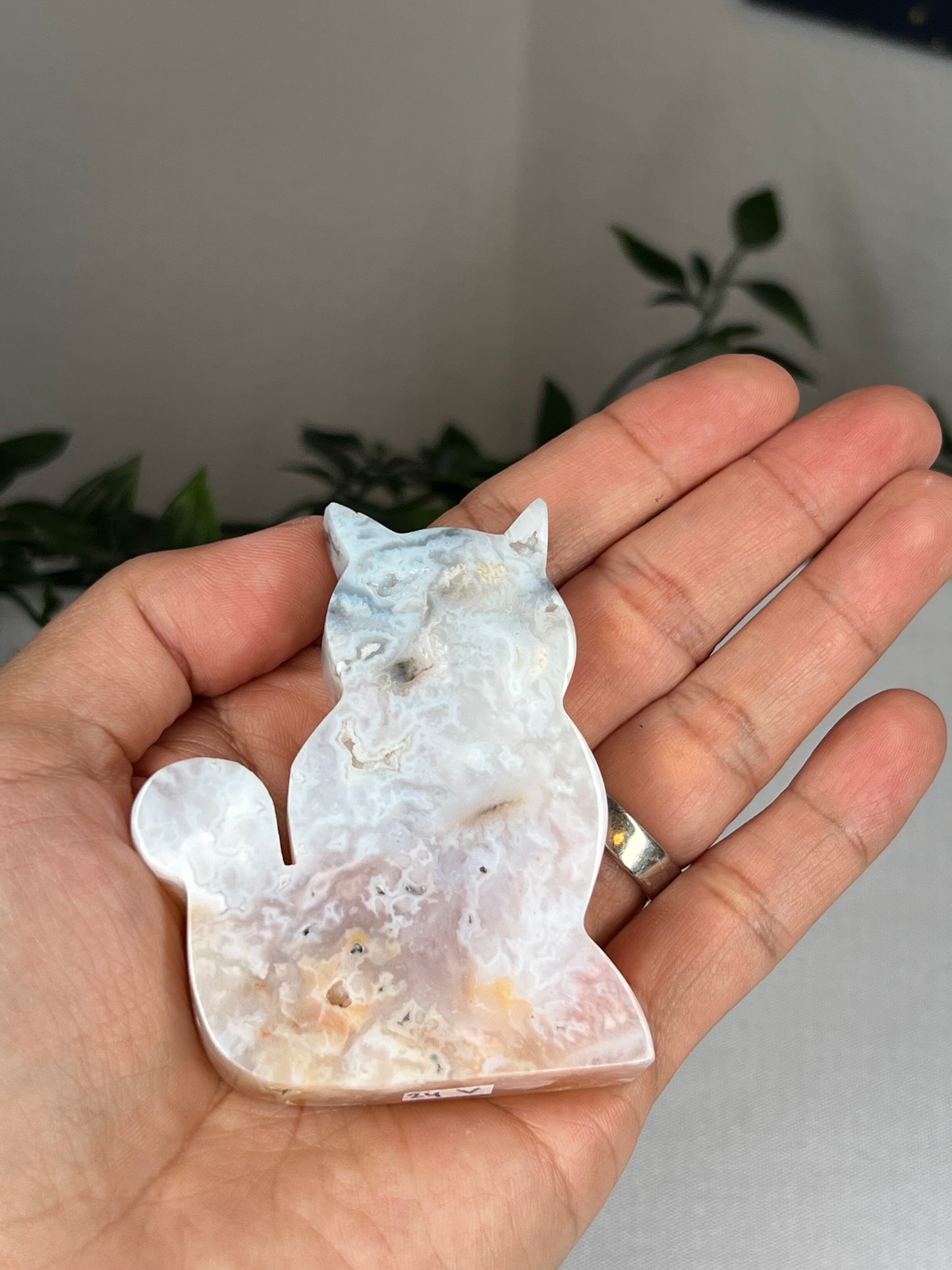 Rainbow Plume Agate Cat