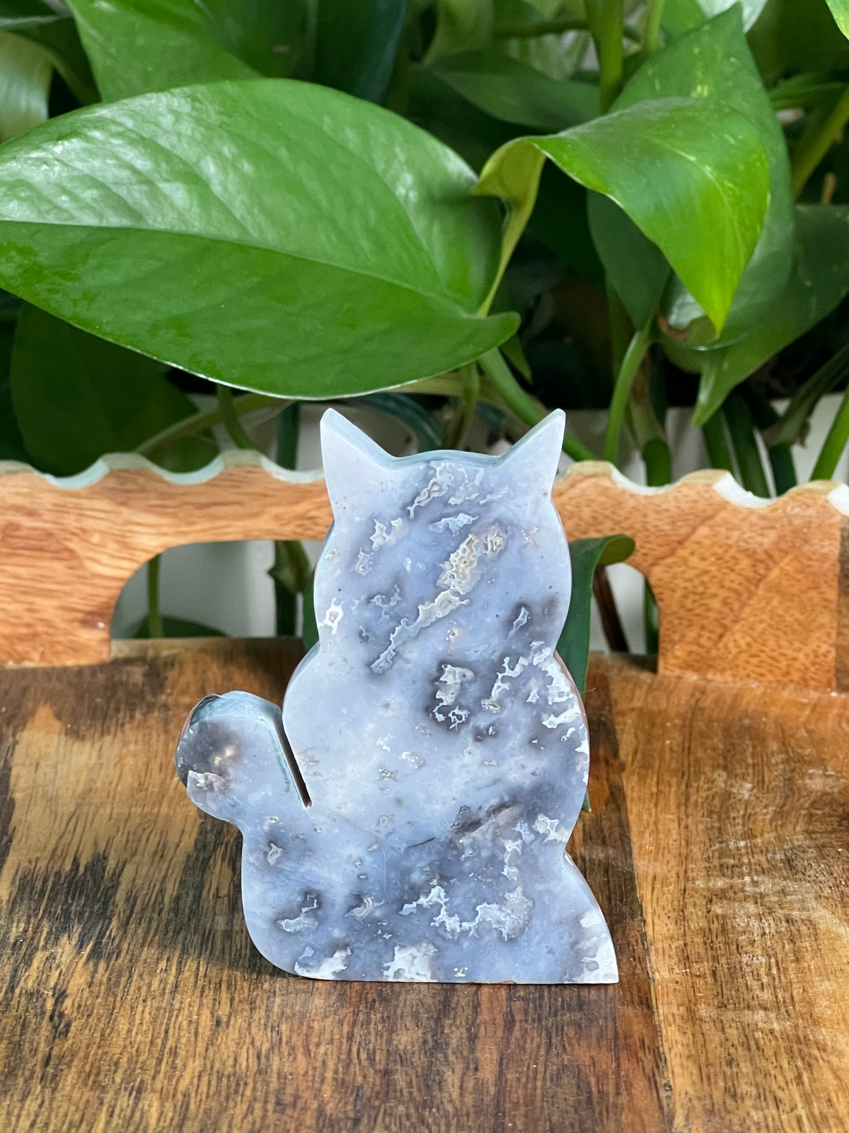 Blue Plume Agate Cats