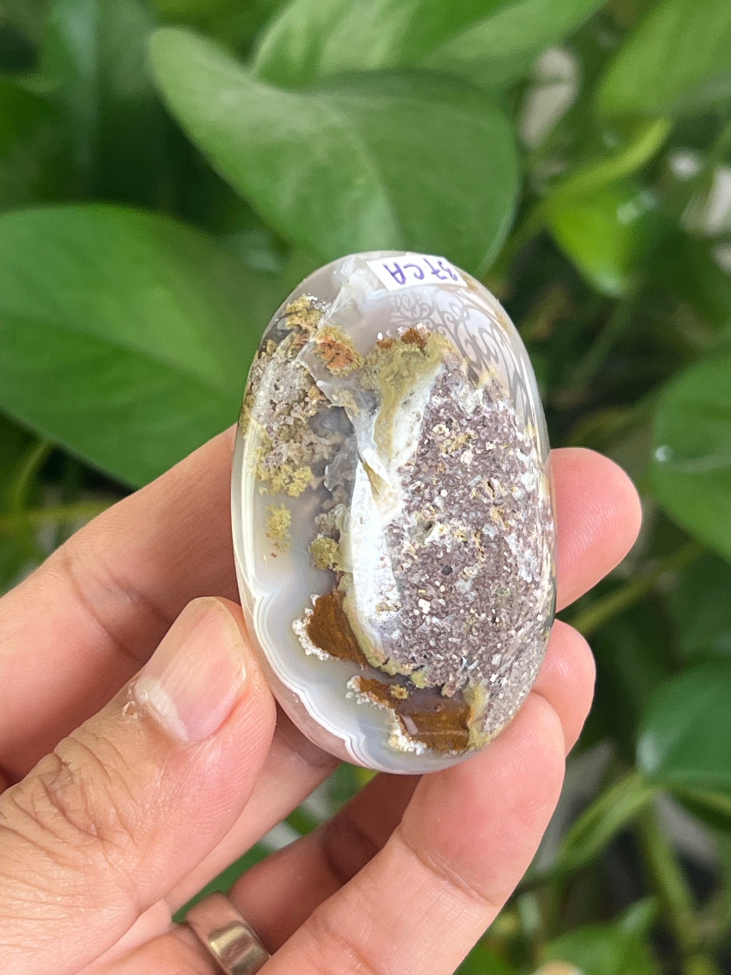 Scenic Moss Agate Palmstone: CA