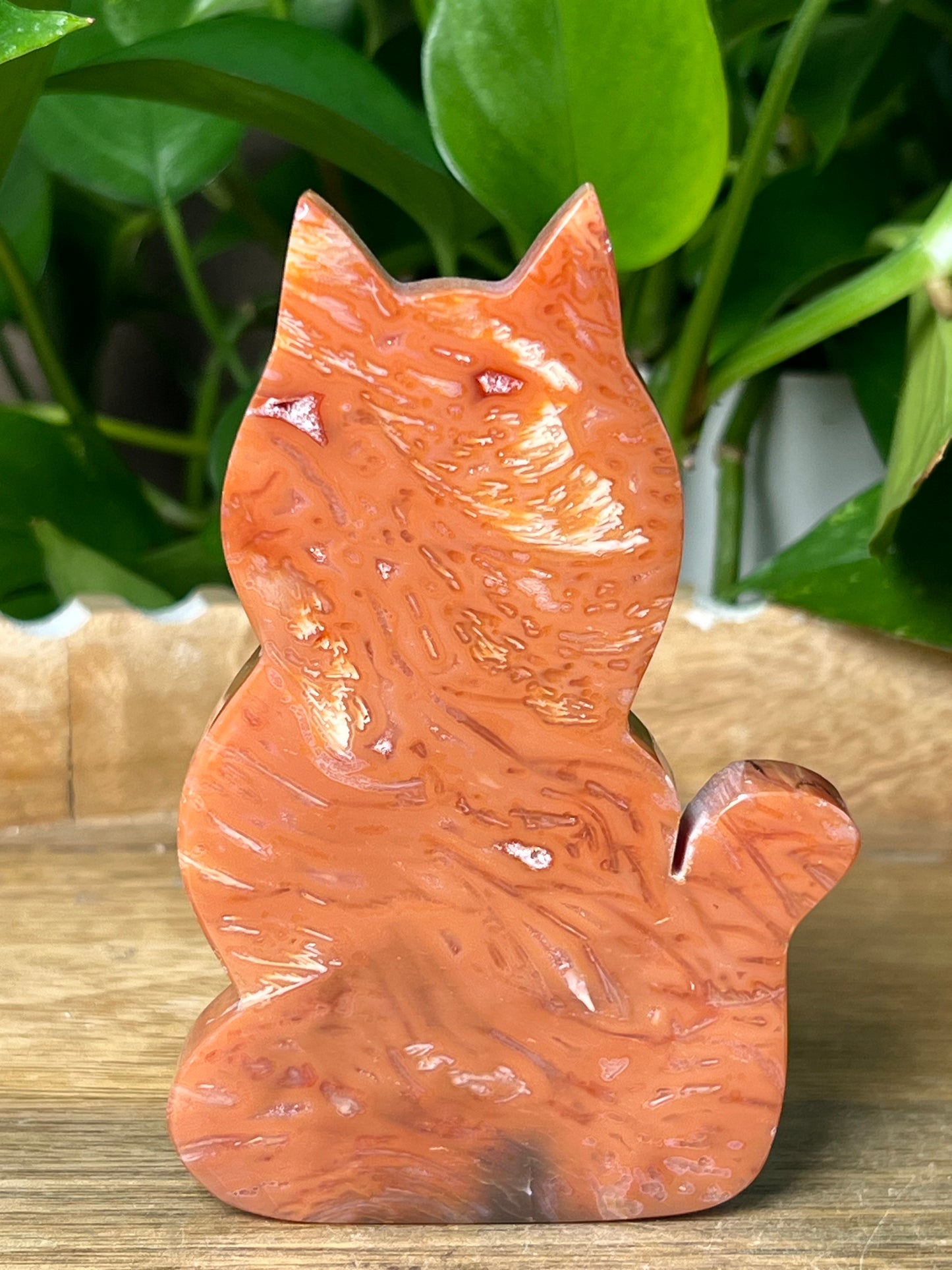 Carnelian Cat