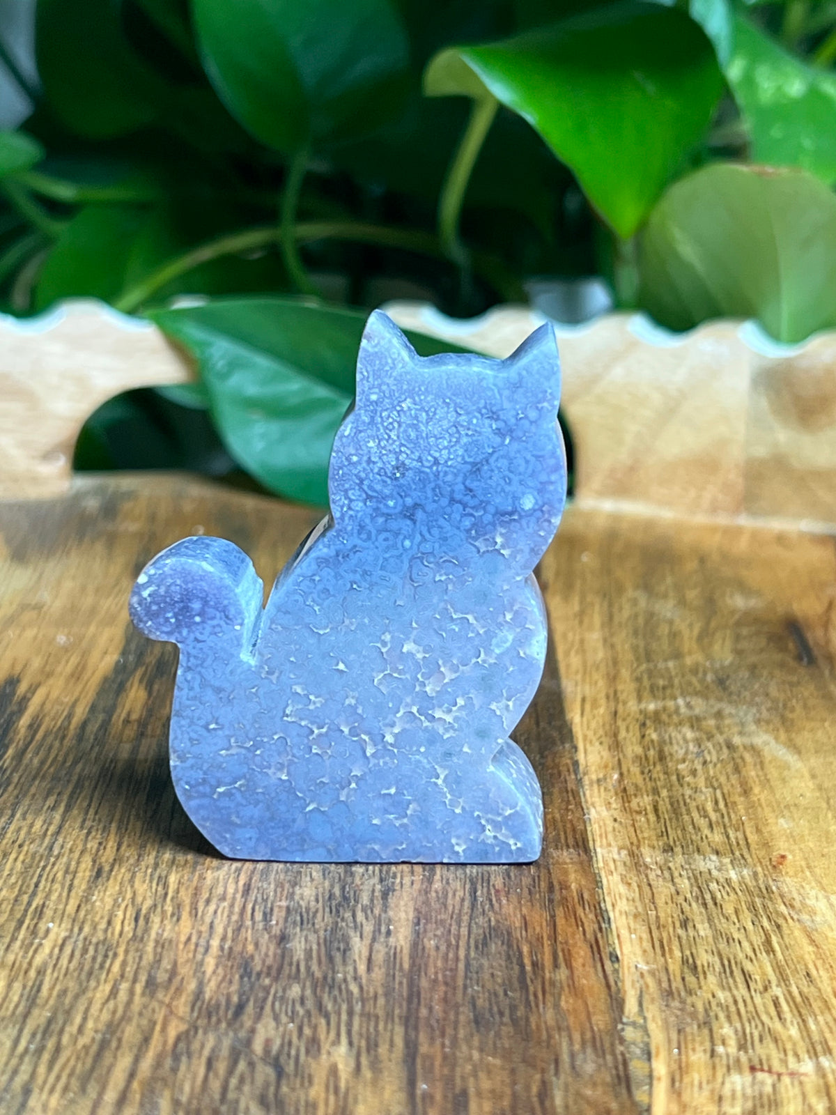 Grape Agate Mini Cat: Bi