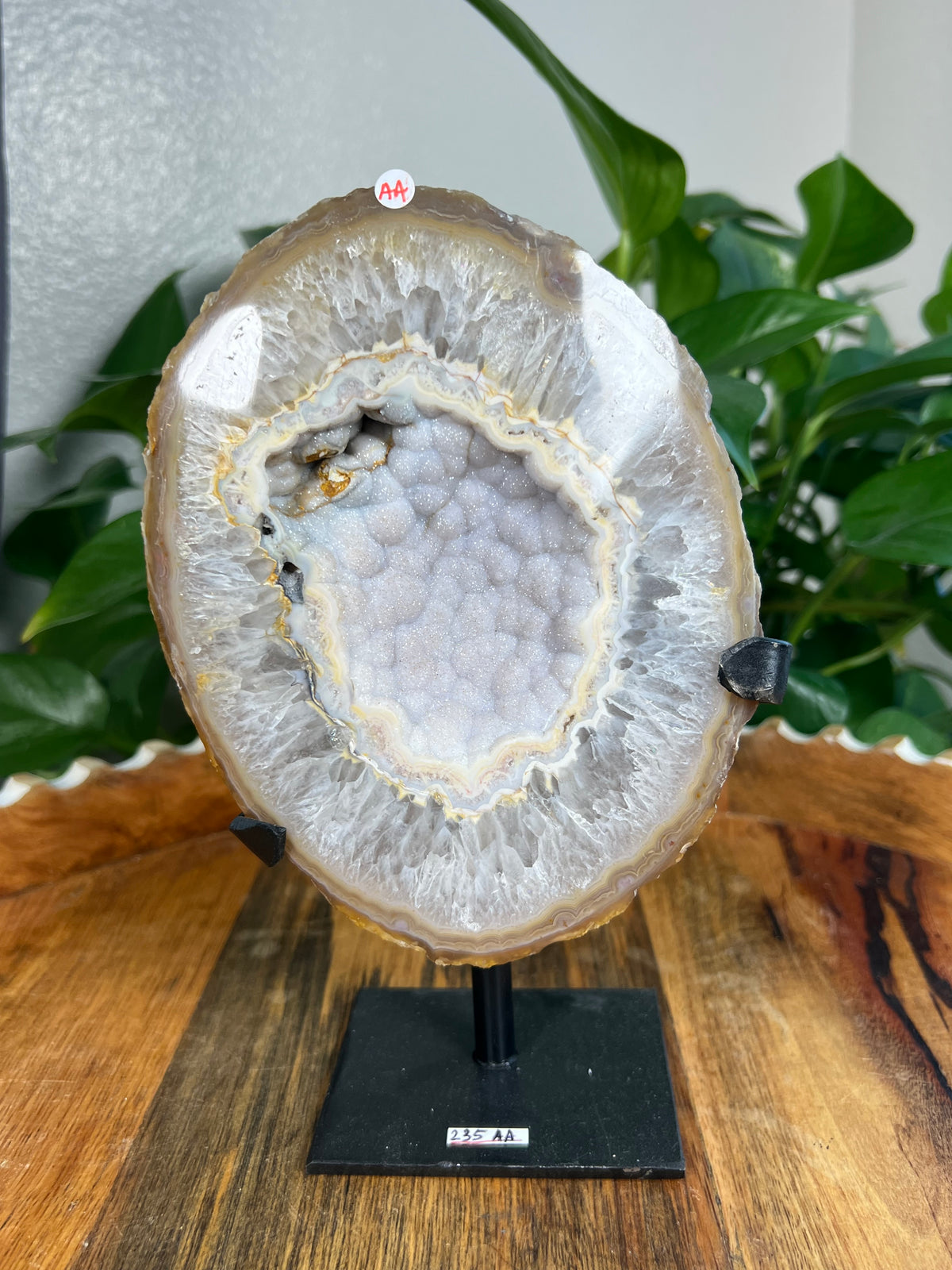 Brazilian Druzy Agate: AA