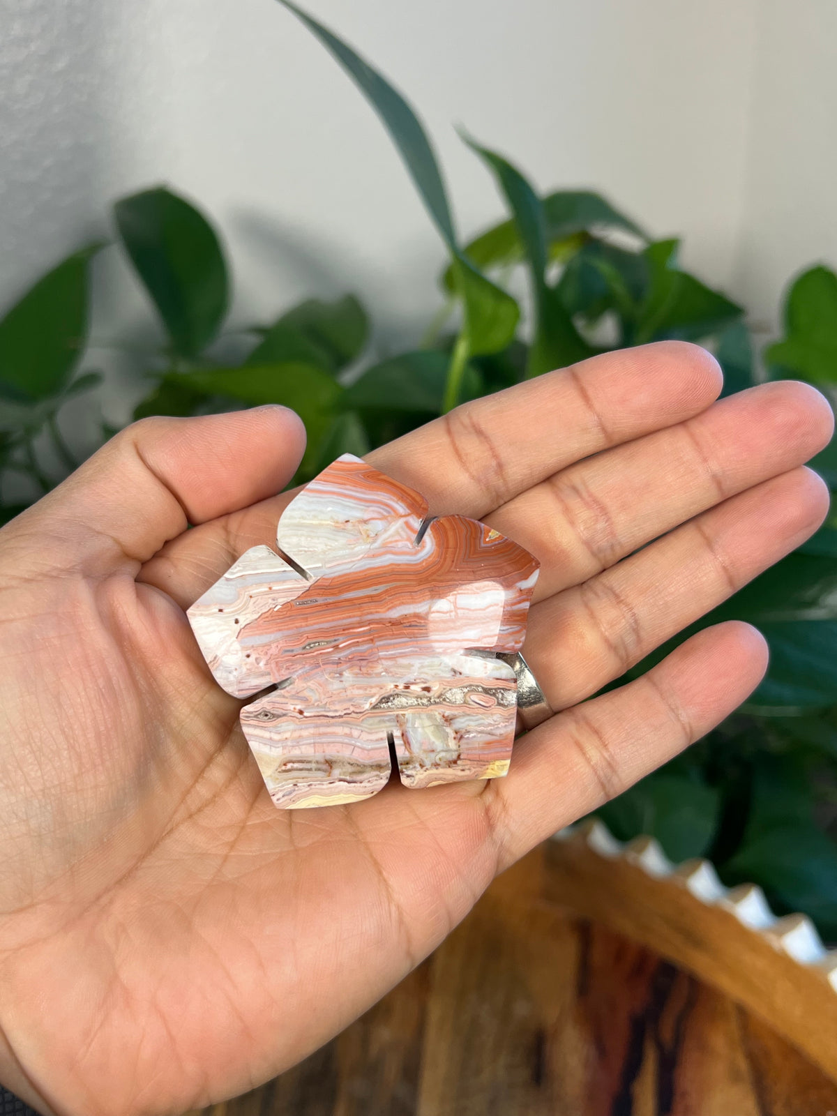 Crazy Lace Agate Flowers