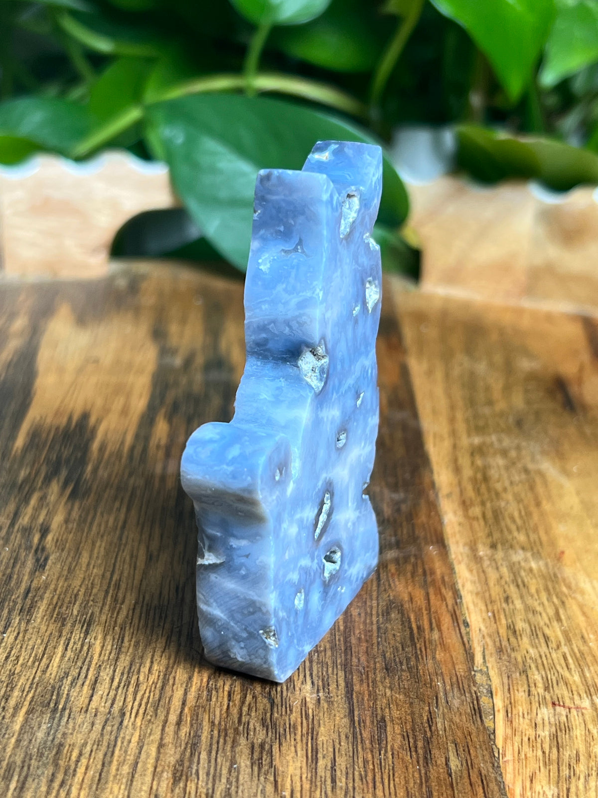 Blue Plume Agate Cat: BA