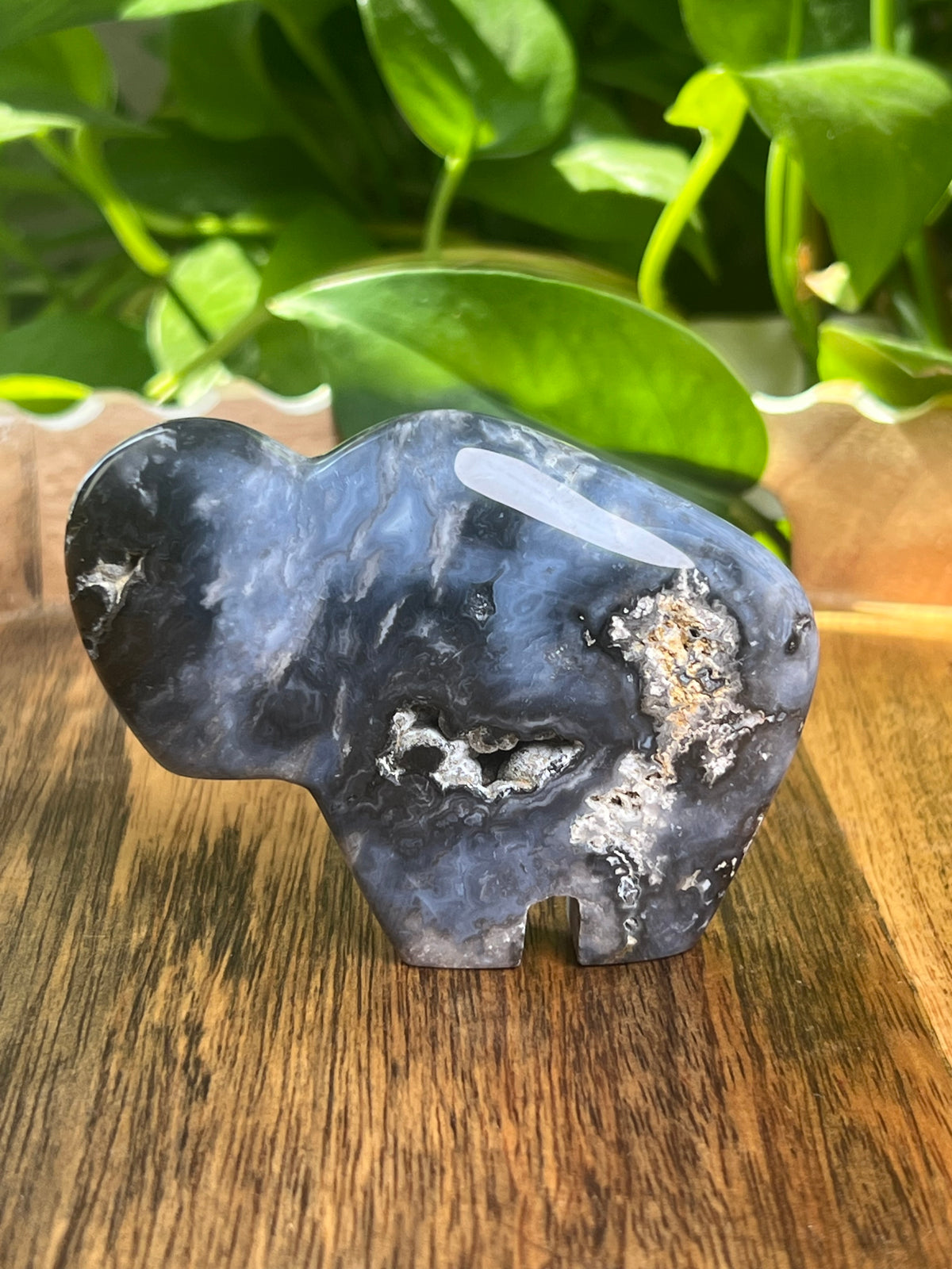 Blue Plume Agate Buffalo: BF