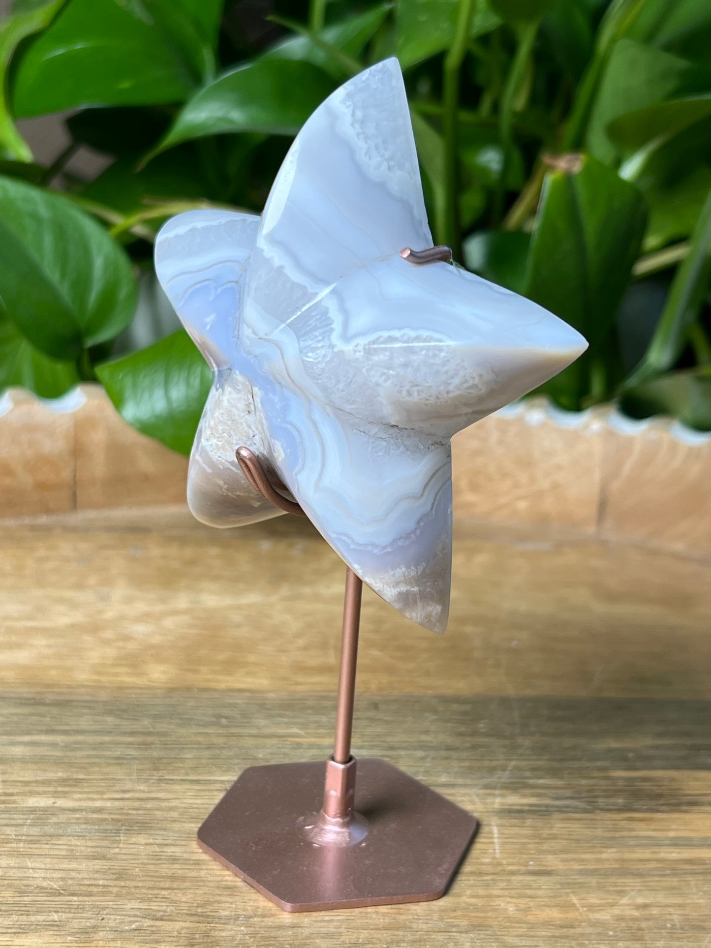 Blue Grey Lace Agate Star