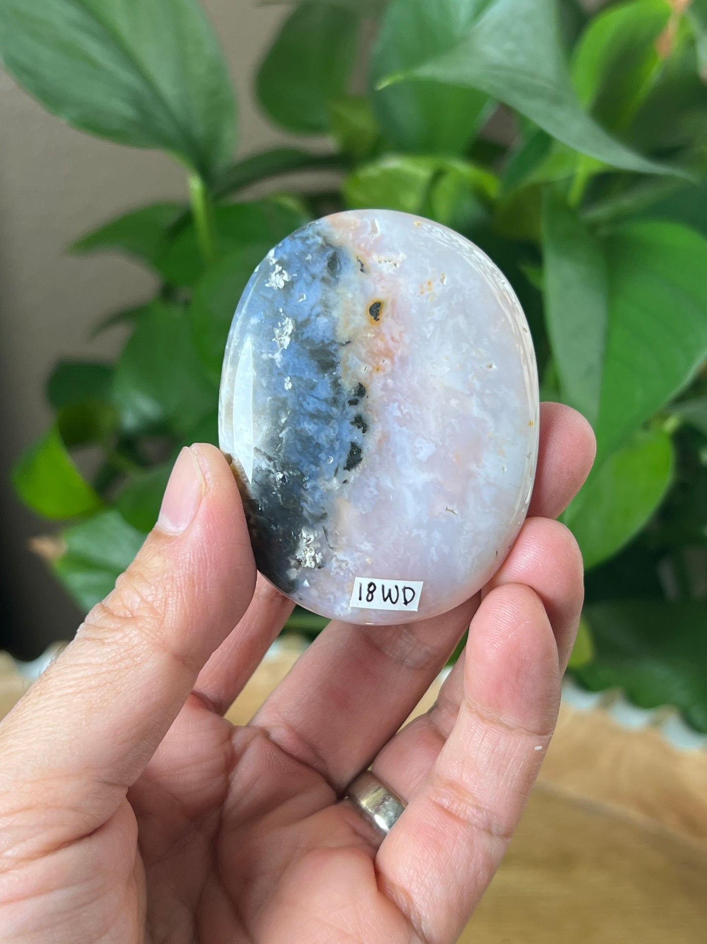 Rainbow Plume Agate Palmstone